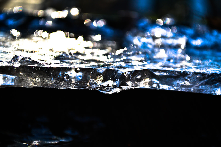 Nikon D3100 + Nikon AF Micro-Nikkor 200mm F4D ED-IF sample photo. Smarginazione photography