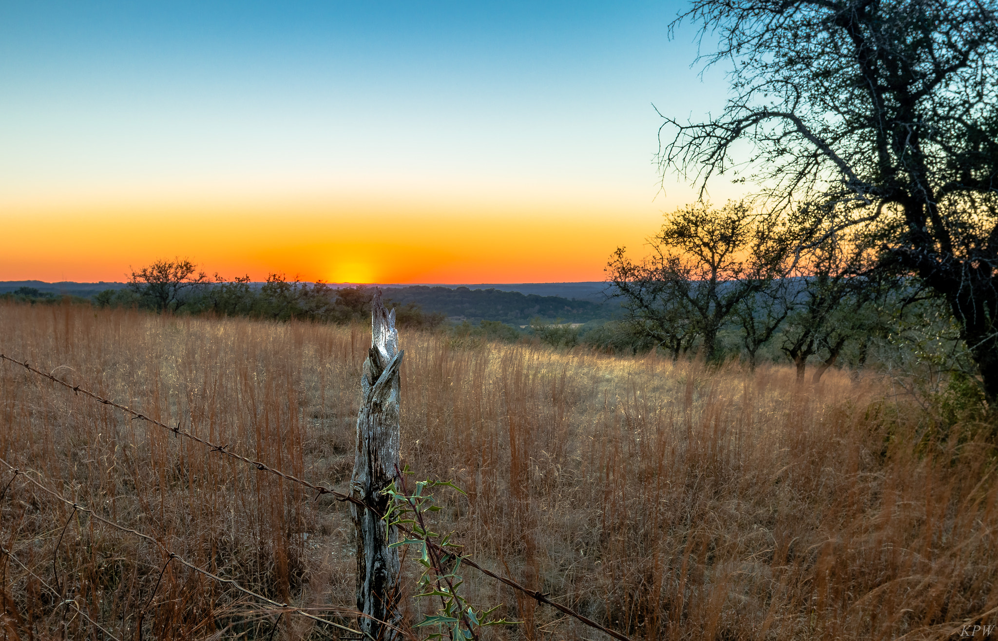 Canon EF 20mm F2.8 USM sample photo. Dripping springs photography