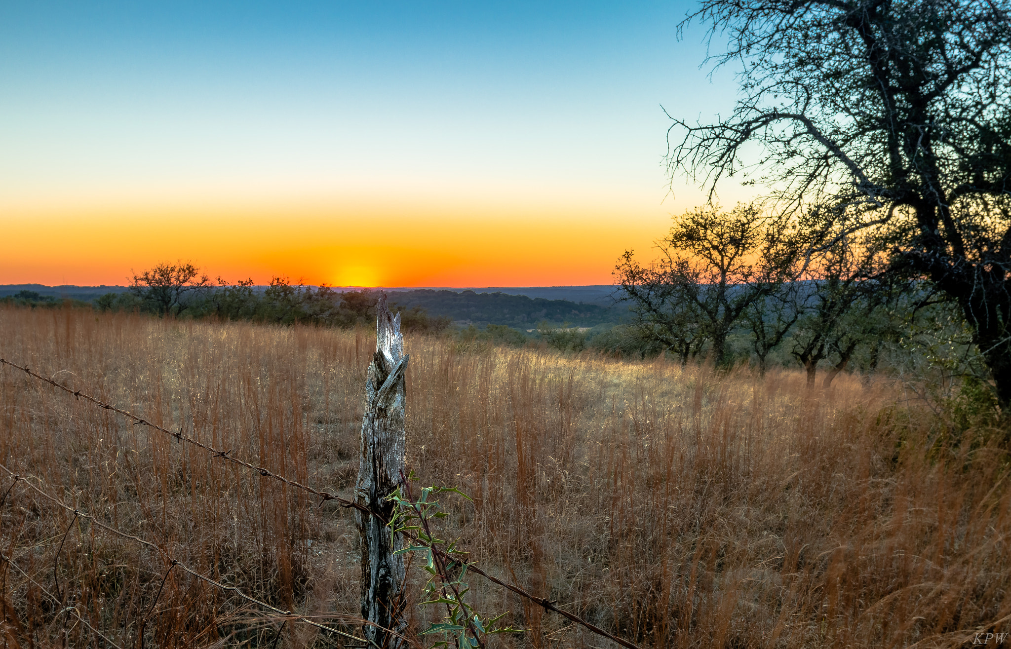 Canon EOS 70D + Canon EF 20mm F2.8 USM sample photo. Dripping springs photography