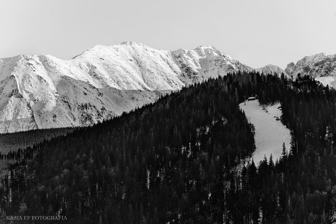 Nikon D700 sample photo. ... photography