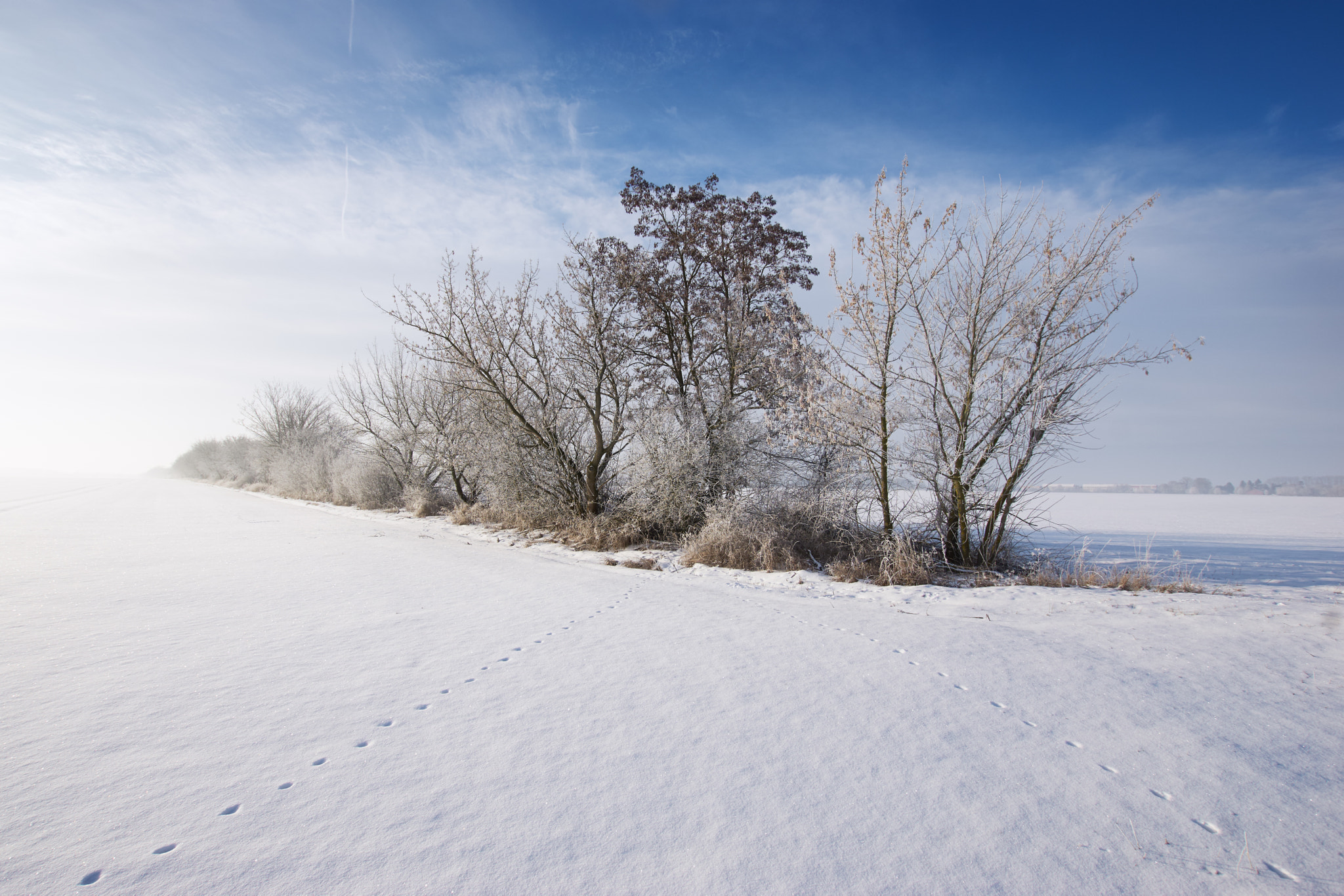 Sony ILCA-77M2 sample photo. Winter im elbe-elster-land photography