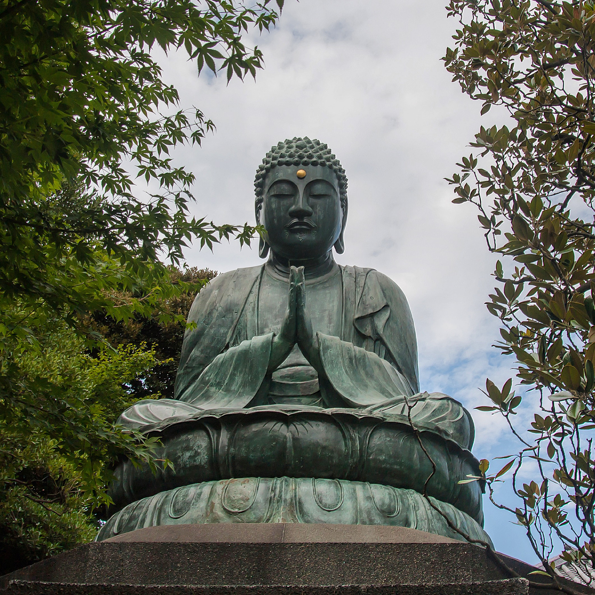 Sigma 17-70mm F2.8-4 DC Macro OS HSM sample photo. Yanaka photography
