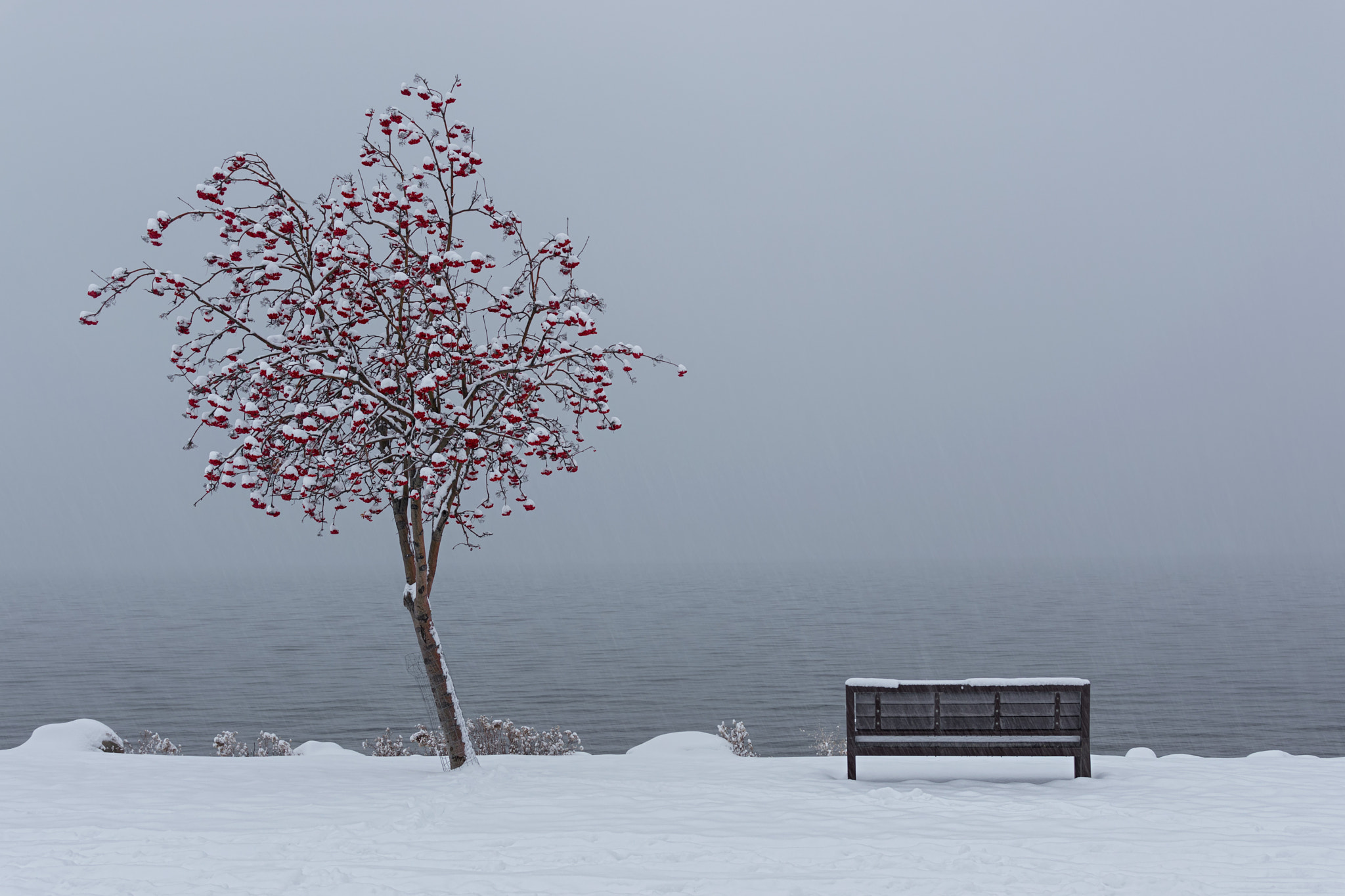 Nikon D3200 sample photo. Snowy park bench on okanagan lake photography