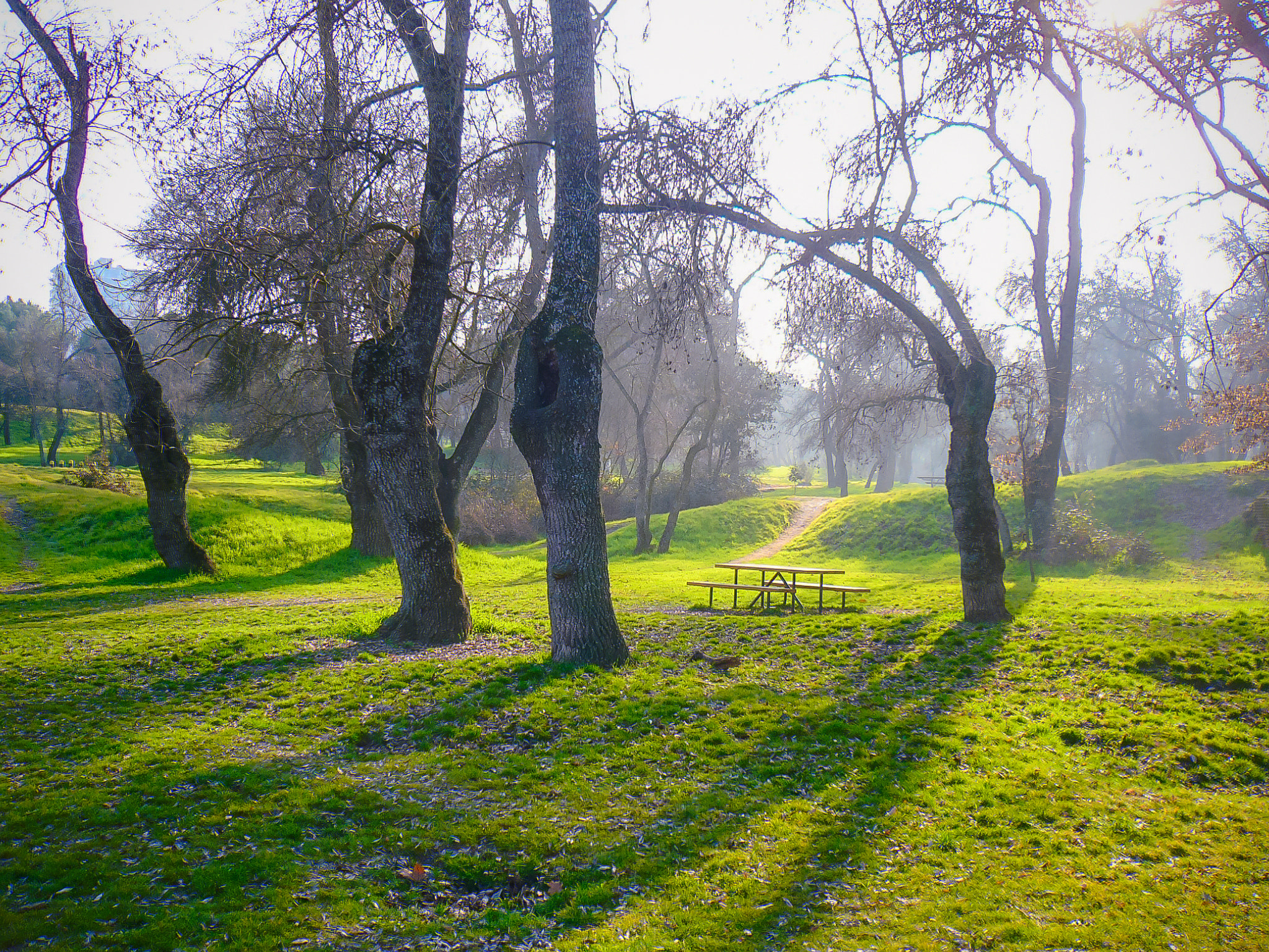 Panasonic DMC-LC80 sample photo. Old park of madrid "casa de campo· photography