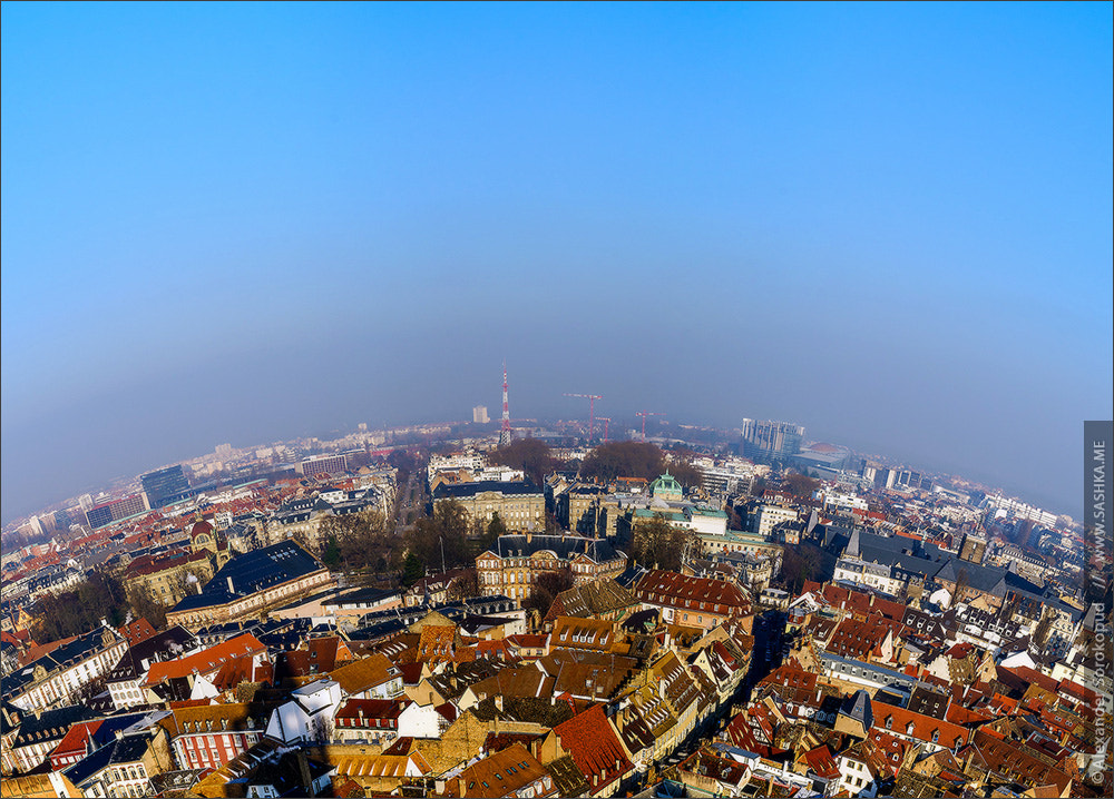 Sony Alpha a99 sample photo. Strasbourg city aerial view from the tower photography