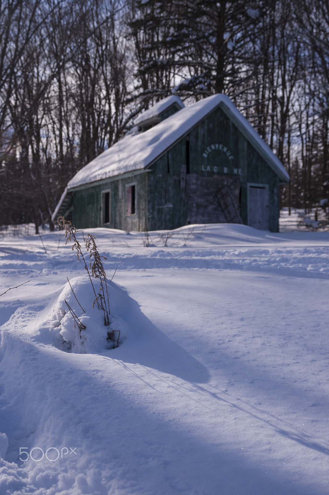 Sony Alpha DSLR-A900 sample photo. Back to the hut photography