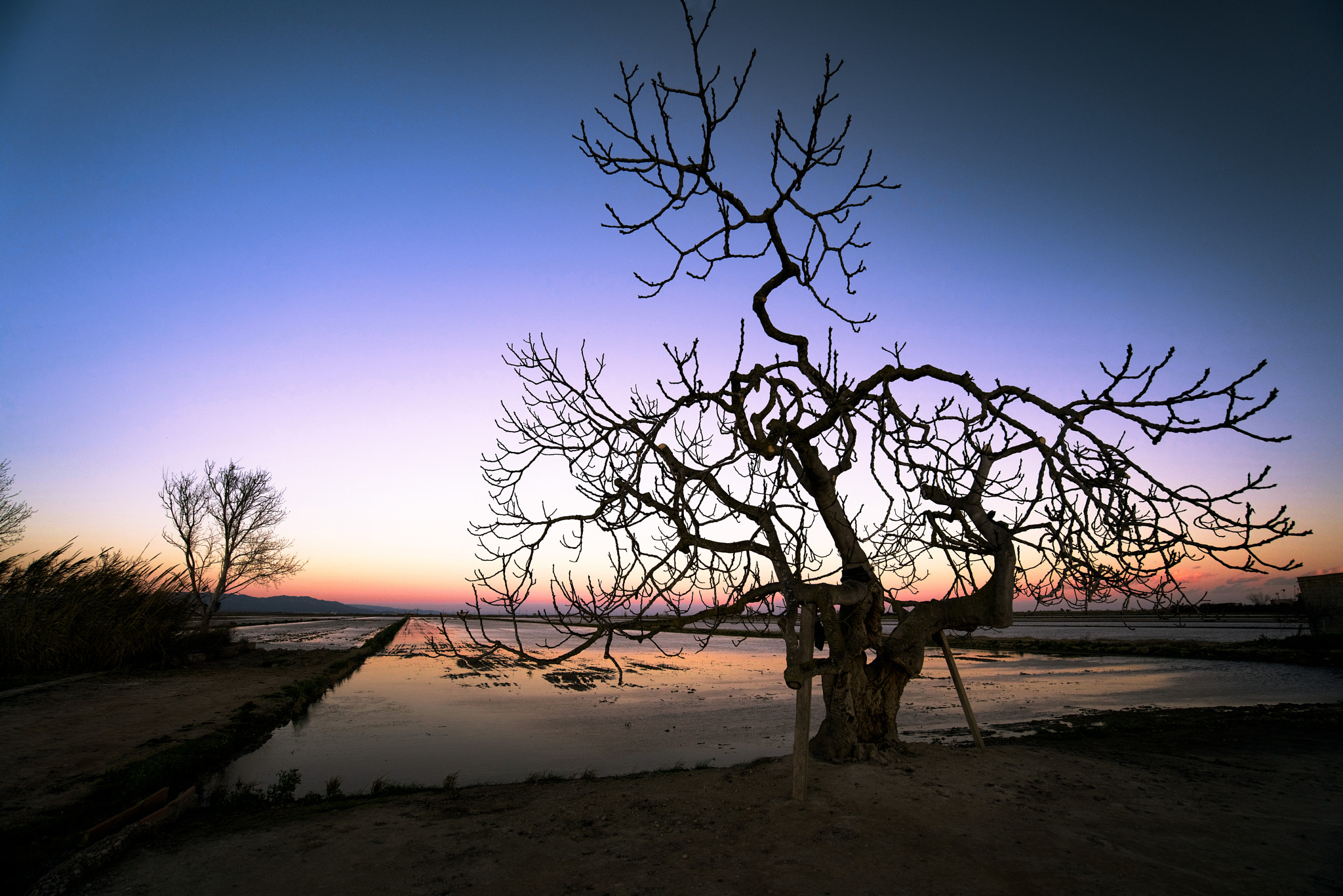 Sony a7R II + Sony Vario-Tessar T* FE 16-35mm F4 ZA OSS sample photo. Mysterious sunset photography