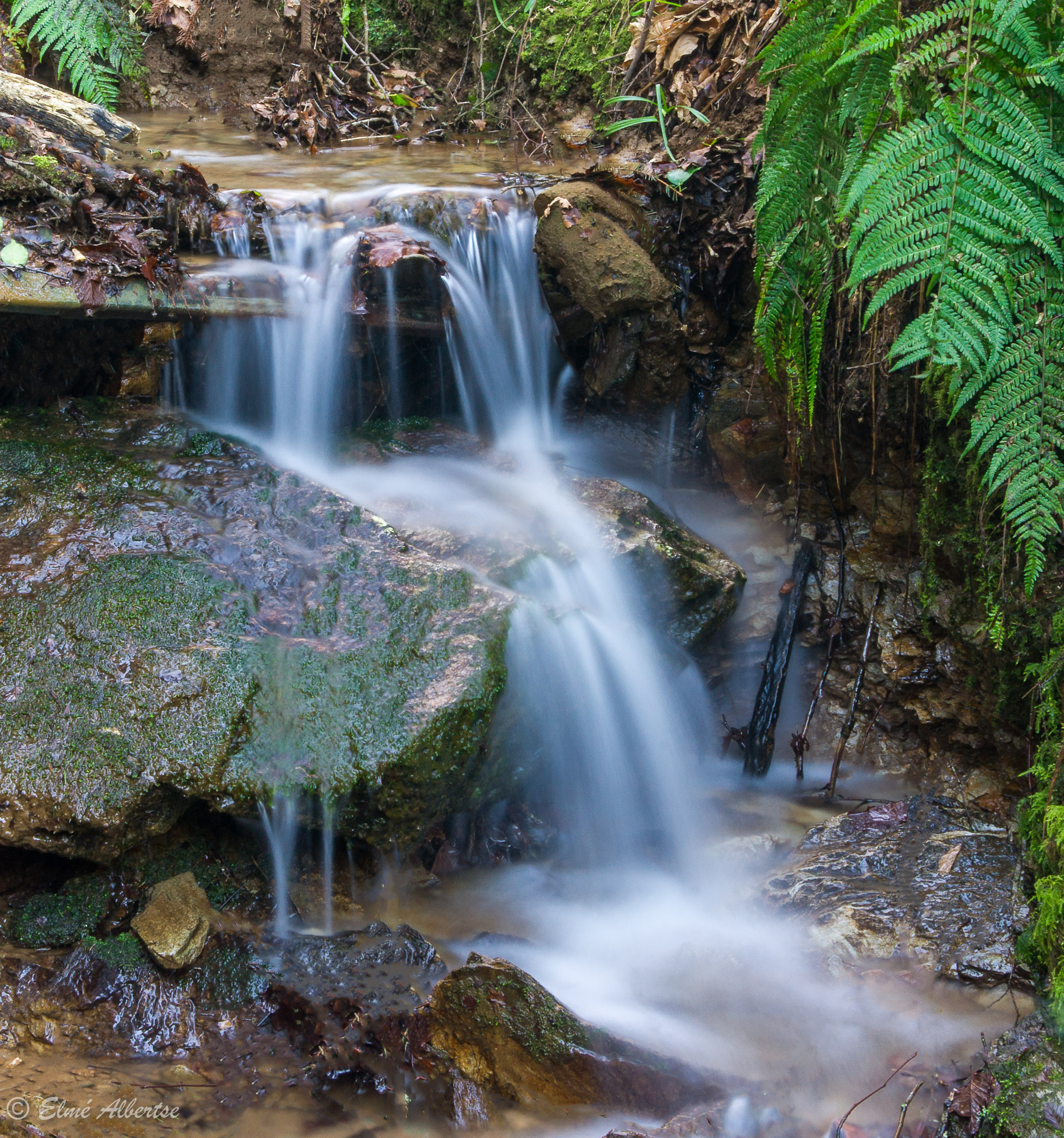 Sony Alpha DSLR-A500 sample photo. Small stream photography