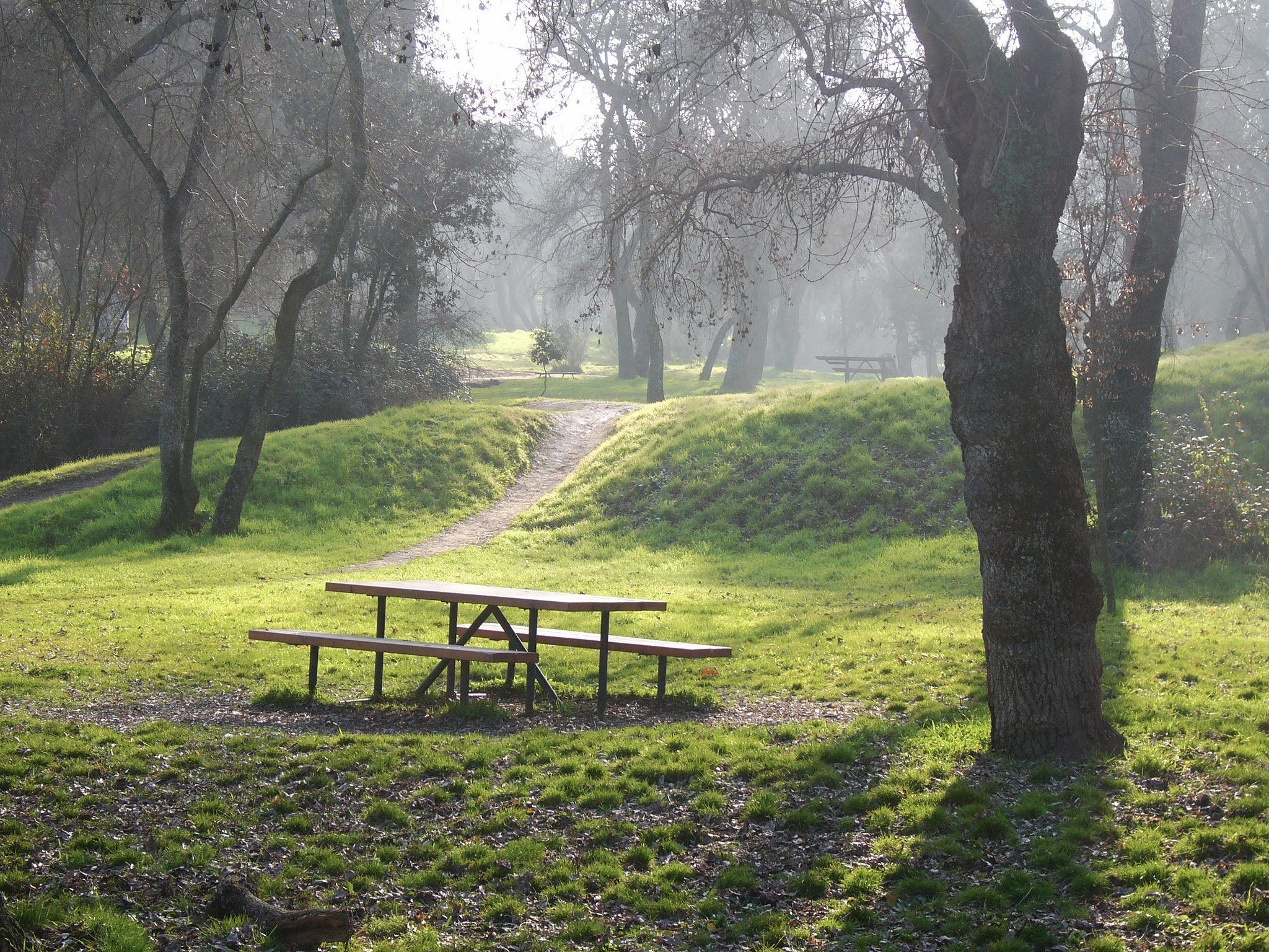 Panasonic DMC-LC80 sample photo. Old real pak of madrid "casa de campo" photography