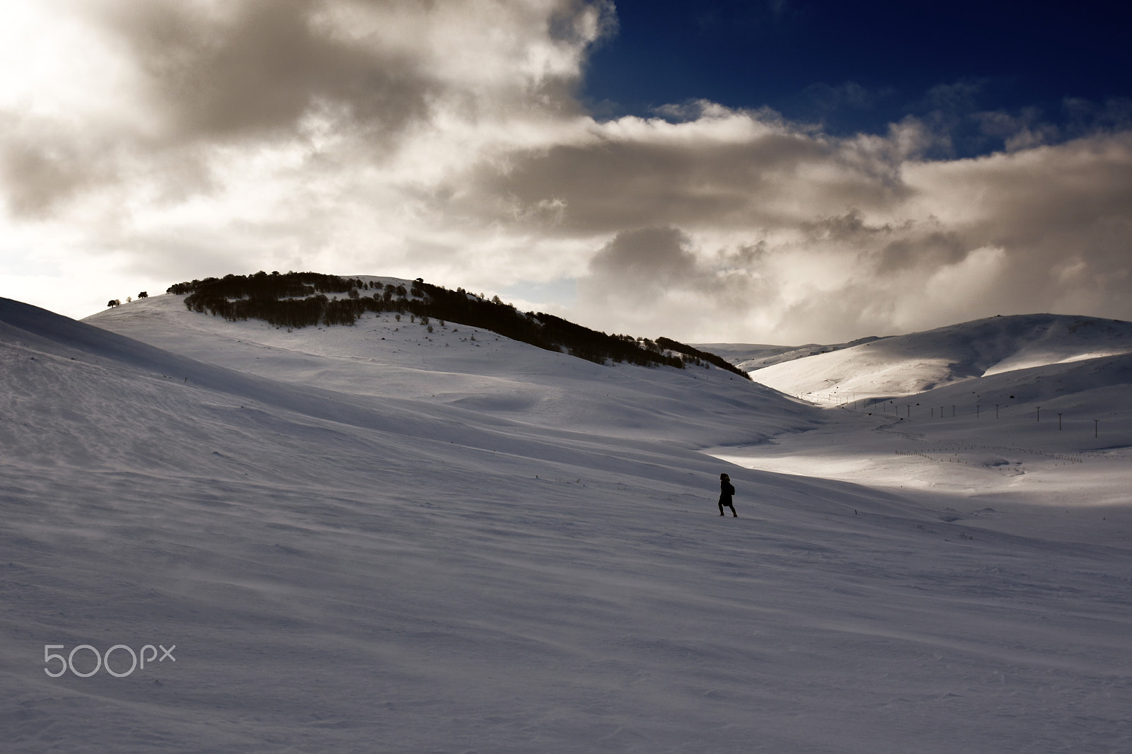 Nikon AF-S Nikkor 24-70mm F2.8G ED sample photo. Snow march photography