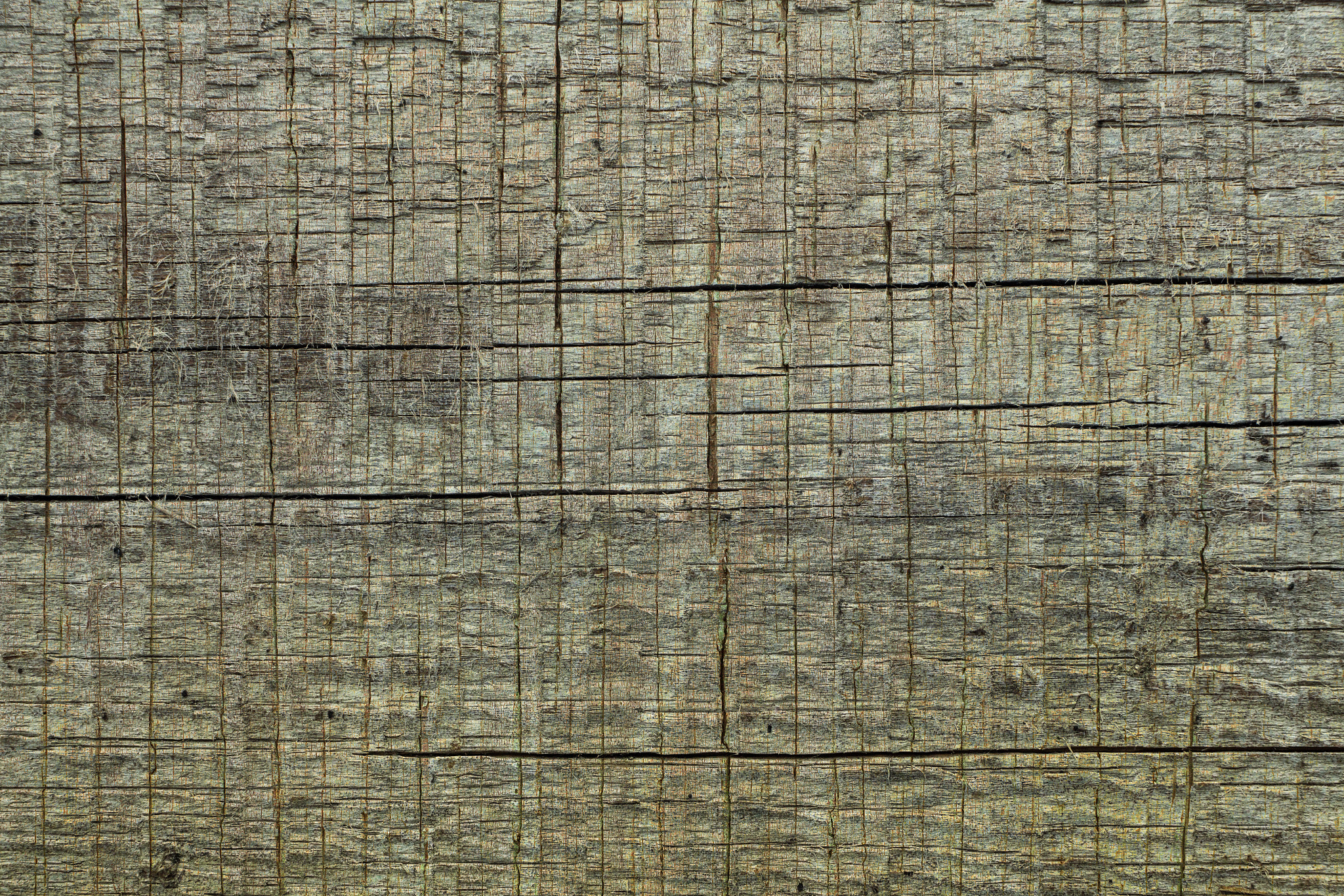 Canon EF 35-80mm f/4-5.6 sample photo. Wood texture photography