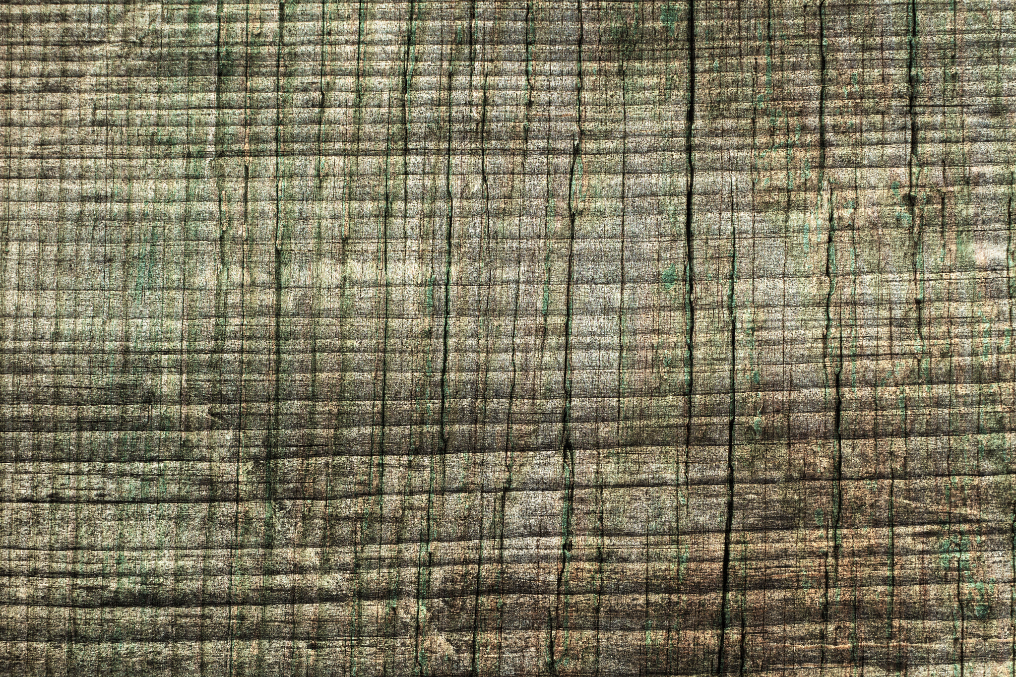 Canon EF 35-80mm f/4-5.6 sample photo. Wood  texture photography