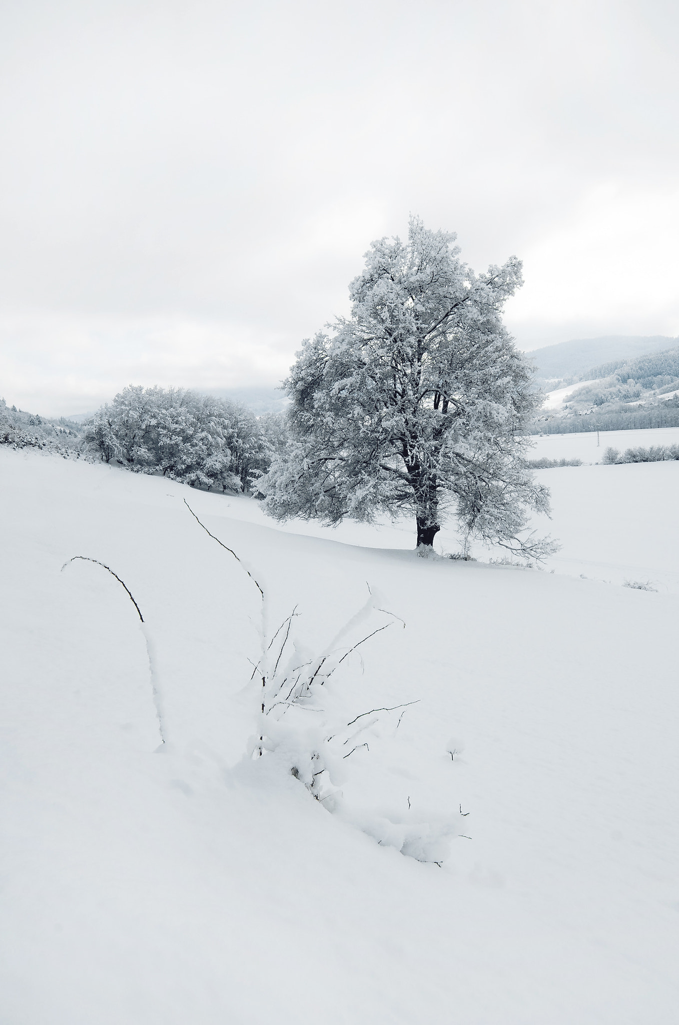 Pentax K-30 sample photo. Winter photography