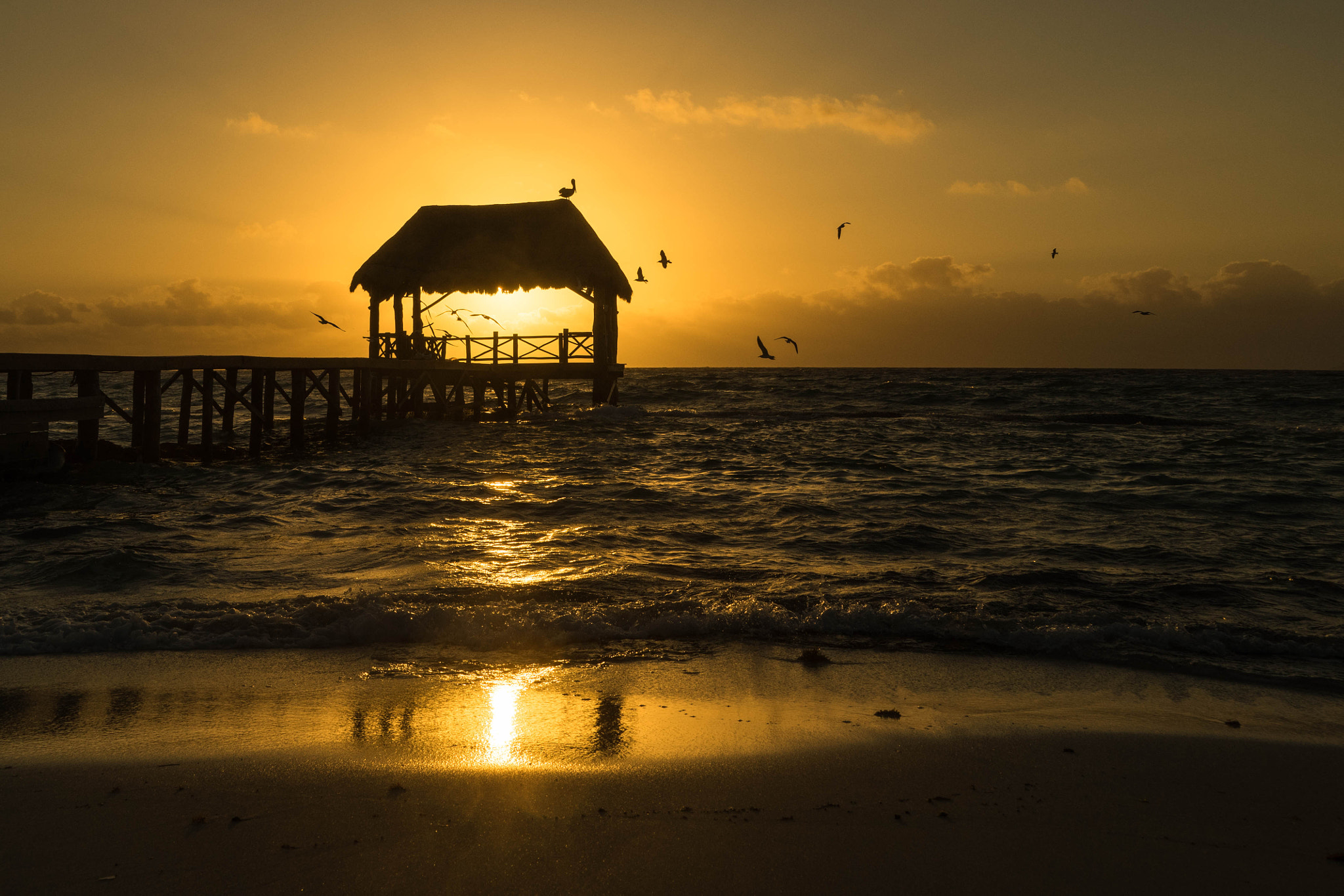 Sony a7R + Sony FE 24-240mm F3.5-6.3 OSS sample photo. Pelican on a roof at sunset photography