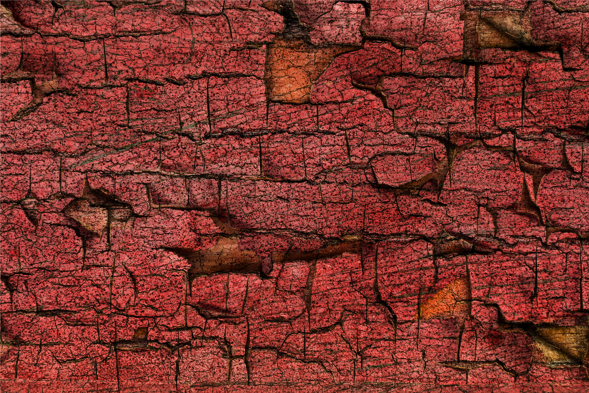 Canon EF 35-80mm f/4-5.6 sample photo. Wood texture photography