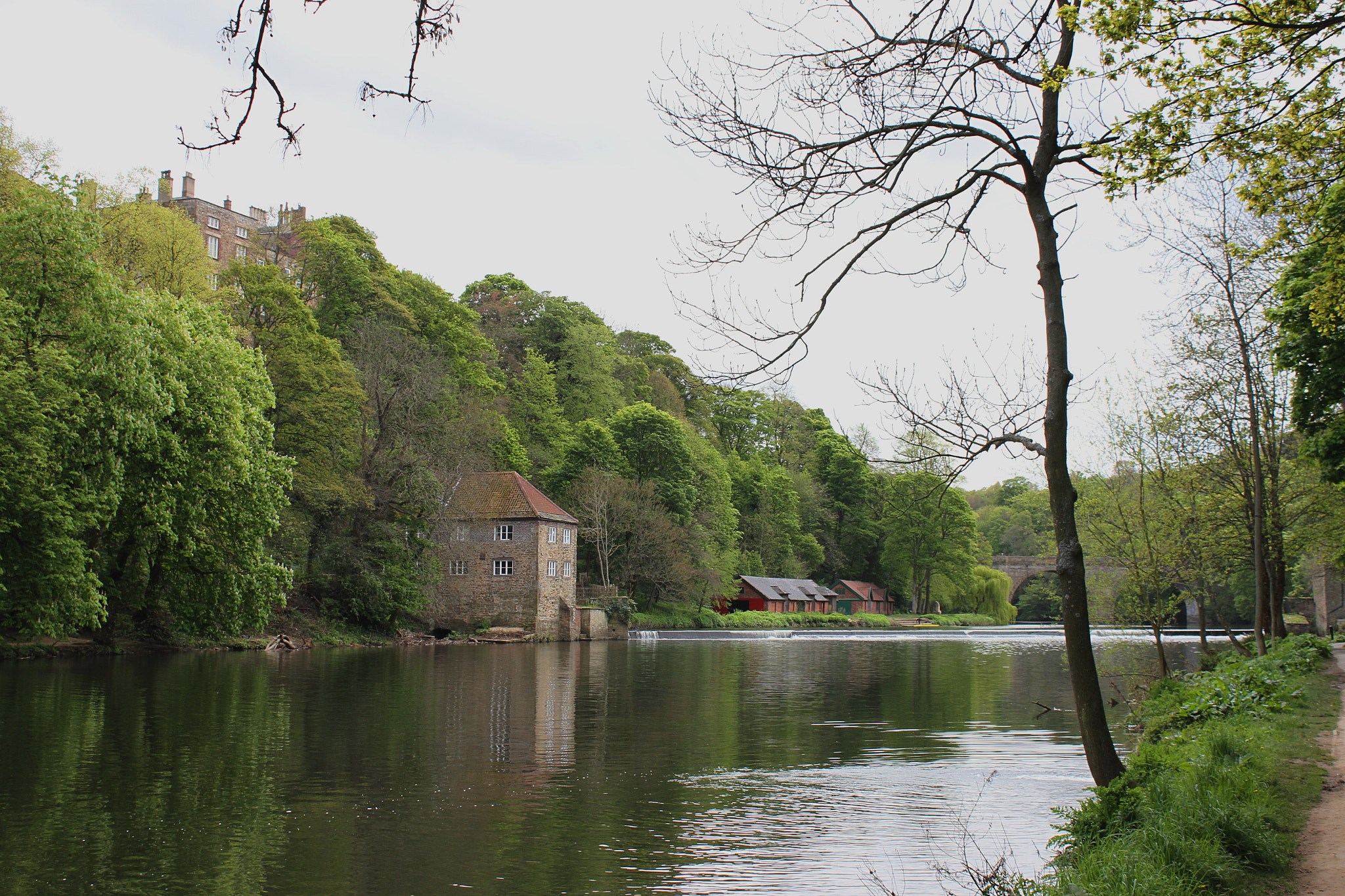 Canon EF-S 18-55mm F3.5-5.6 IS II sample photo. Durham irlanda photography
