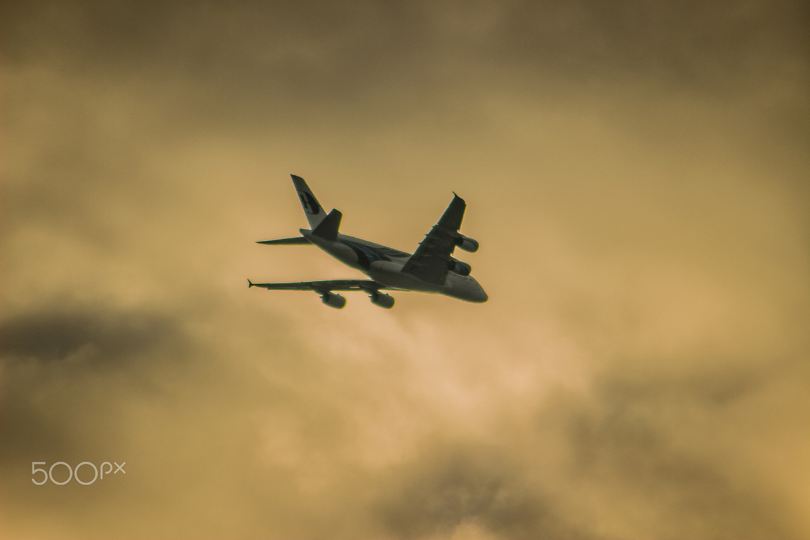 Canon EOS 100D (EOS Rebel SL1 / EOS Kiss X7) sample photo. Soaring photography