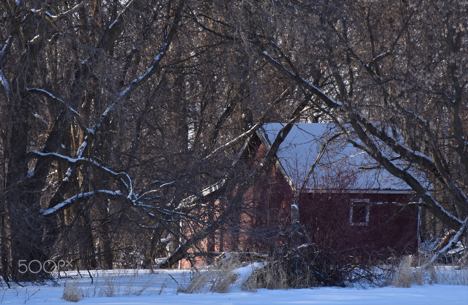 Nikon D5500 sample photo. Little red barn photography