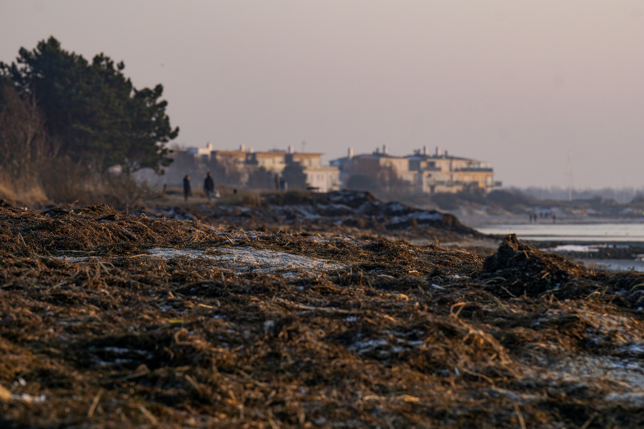 Sony a6000 + Sony FE 70-200mm F4 G OSS sample photo. Lomma beach photography