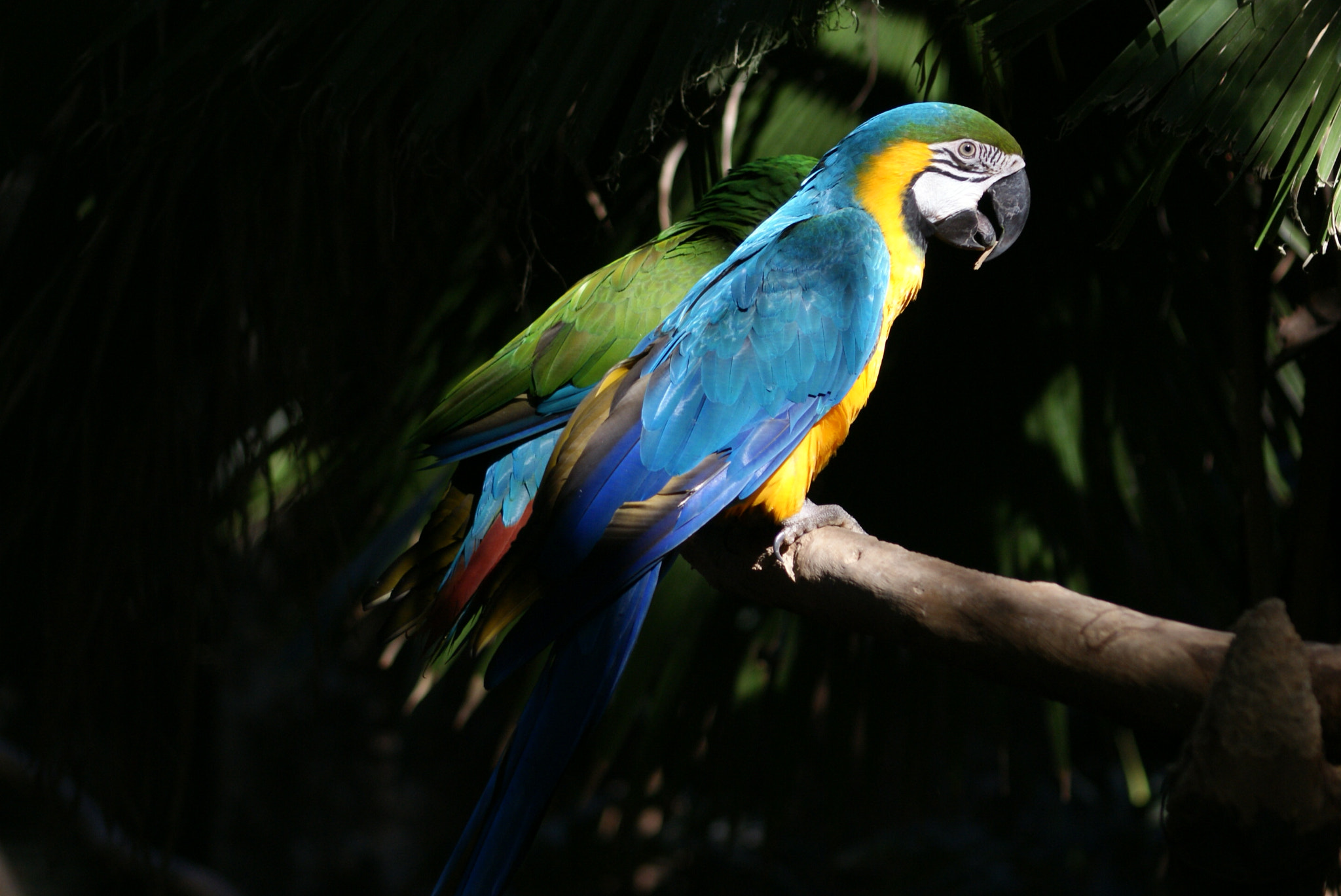 Sony 75-300mm F4.5-5.6 sample photo