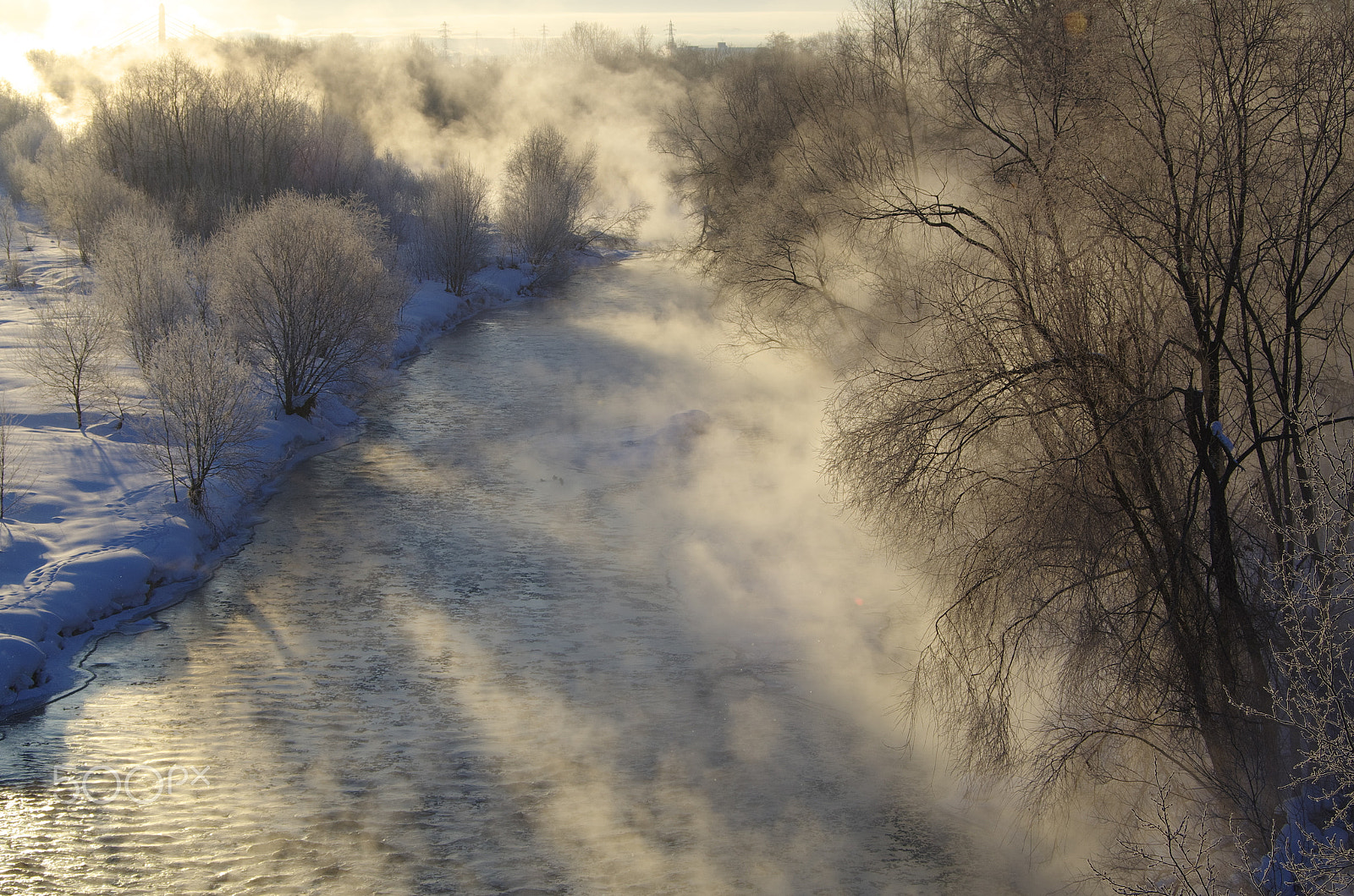 Pentax K-5 sample photo. Frost fog photography