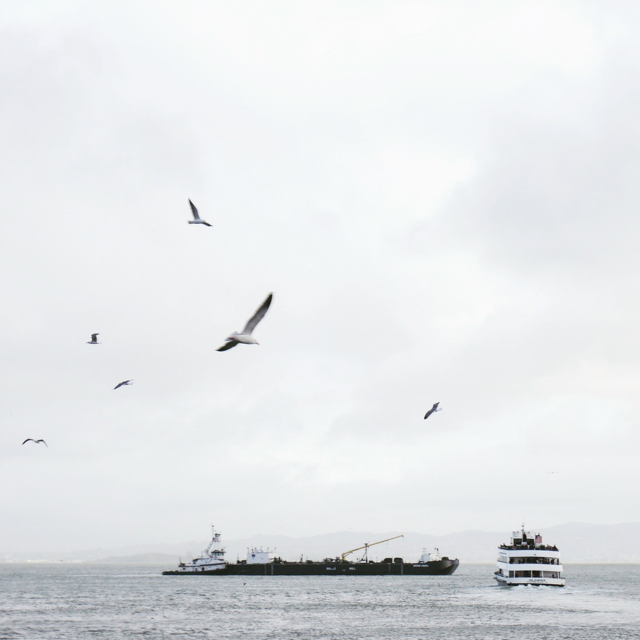 Panasonic Lumix DMC-GX8 sample photo. By the bay photography