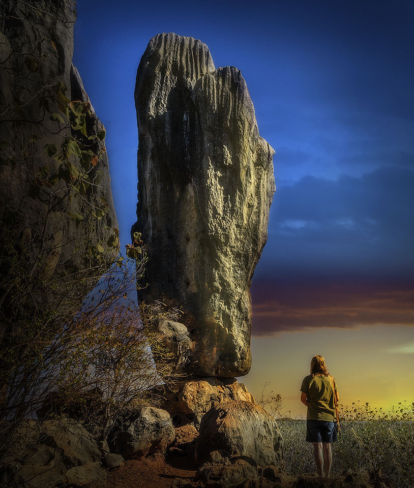 Canon EOS 40D sample photo. " balancing act " photography