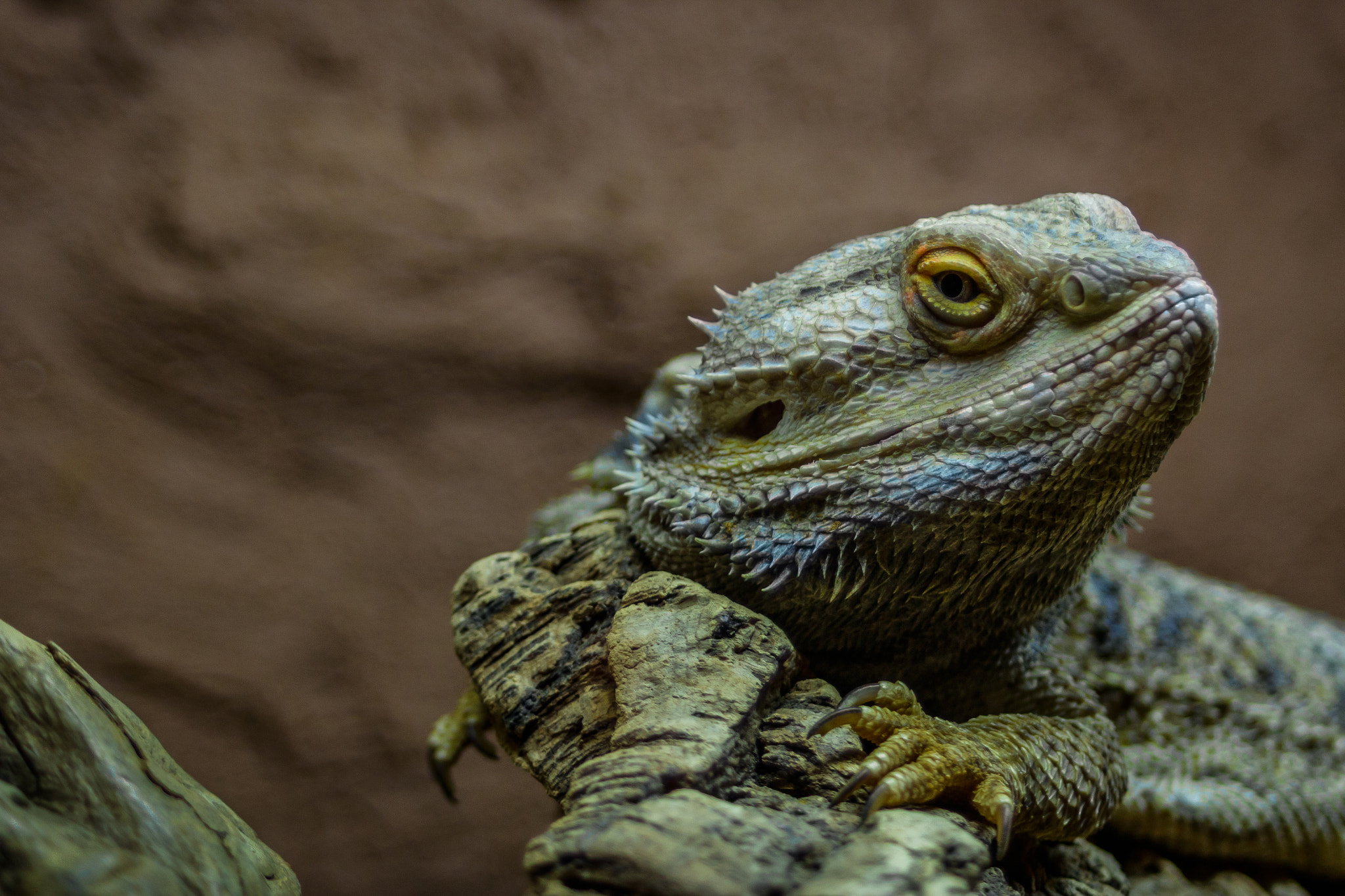 Canon EF 28-80mm f/3.5-5.6 USM IV sample photo. Think! photography