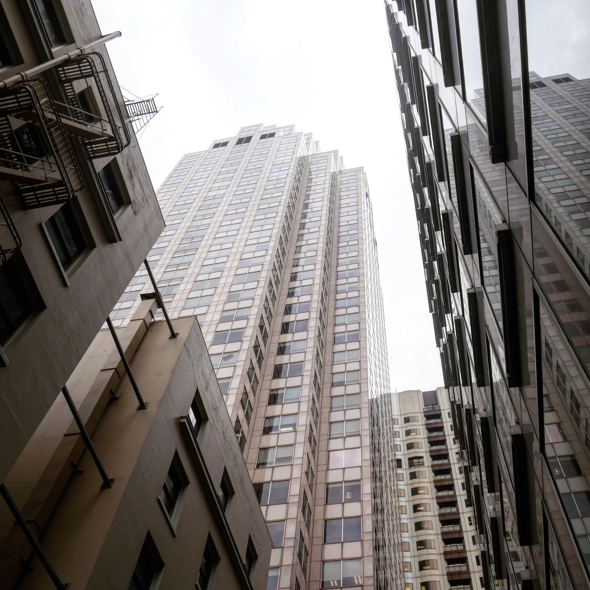 Panasonic Lumix DMC-GX8 sample photo. Looking up photography