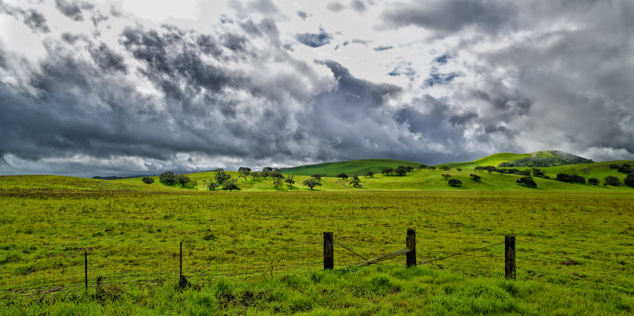 Leica M9 + Leica Super-Elmar-M 21mm F3.4 ASPH sample photo. Central coast green photography