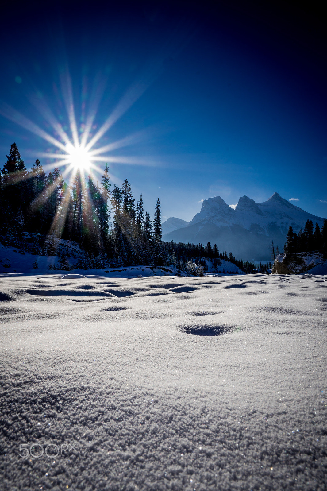 Sony a6300 + Sony E 10-18mm F4 OSS sample photo. Winter cougar creek photography