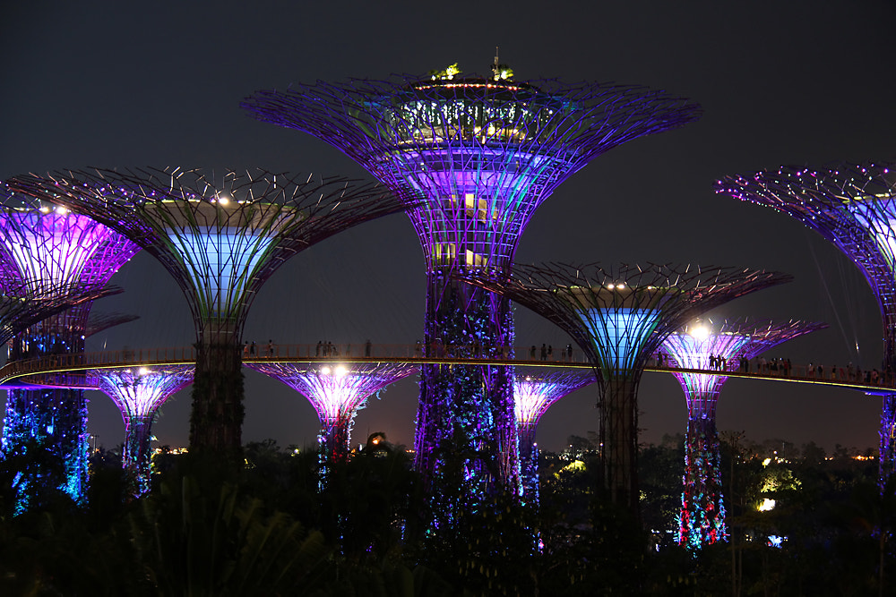 Canon EF-S 18-200mm F3.5-5.6 IS sample photo. Singapore supertrees at night photography
