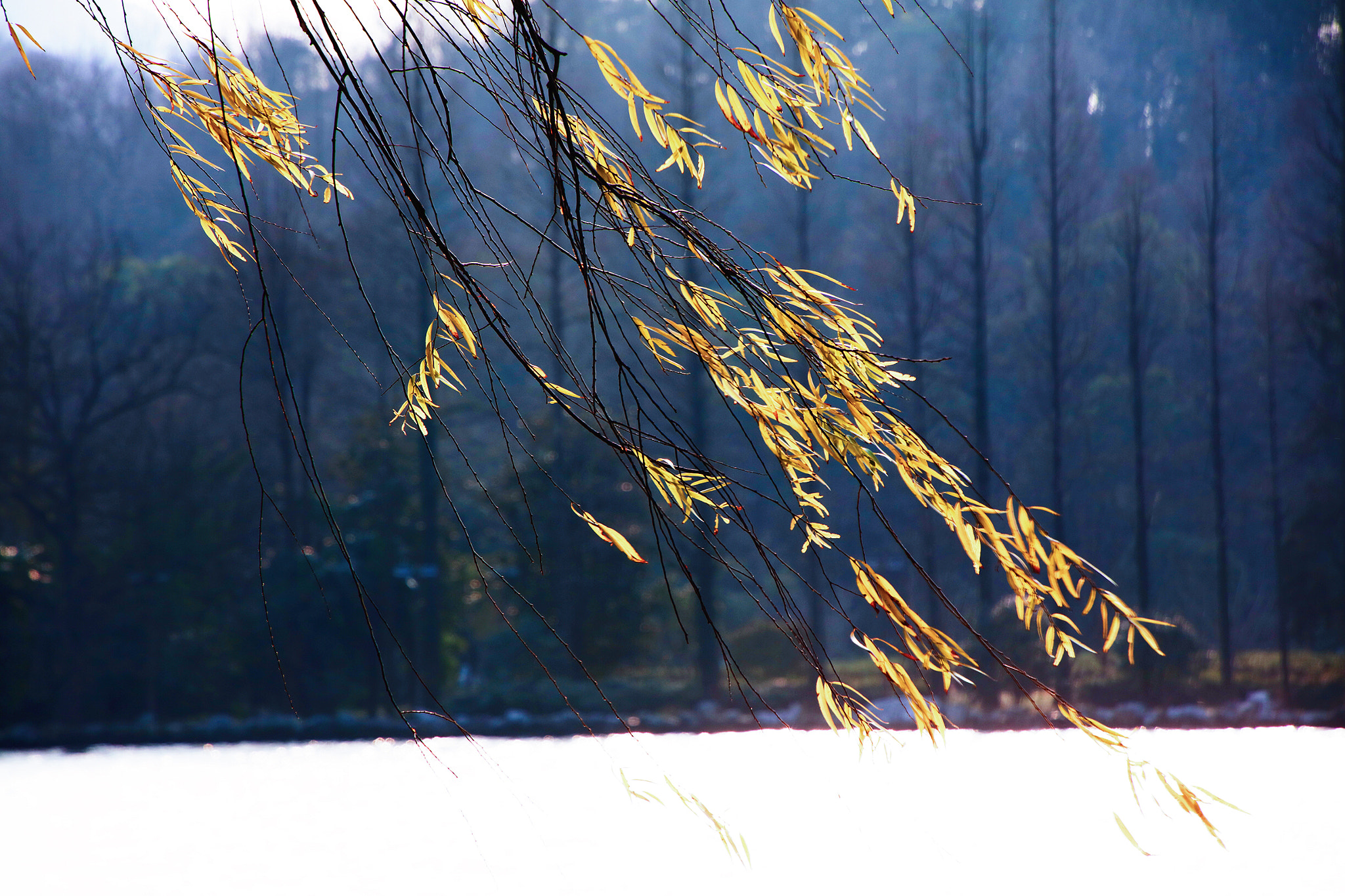 Canon EOS 5DS R sample photo