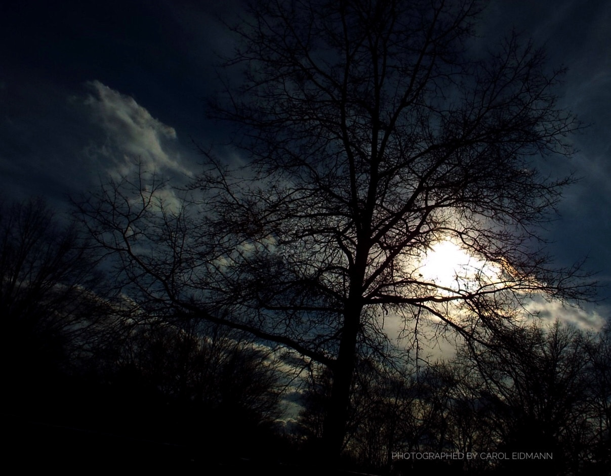 Fujifilm FinePix S9900W S9950W sample photo. " evening slipping away " photography