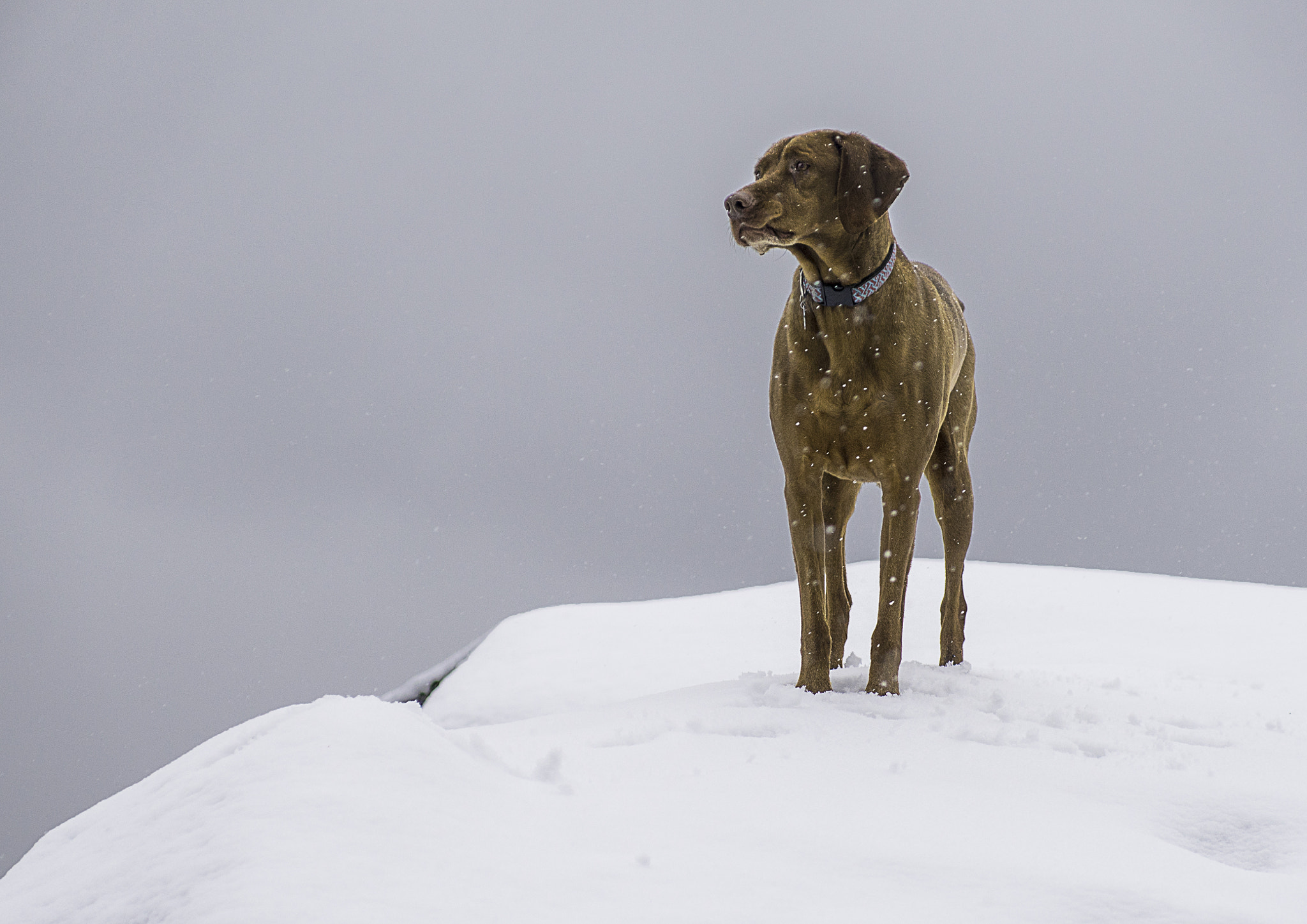 Sony a7R sample photo. Beach snow photography