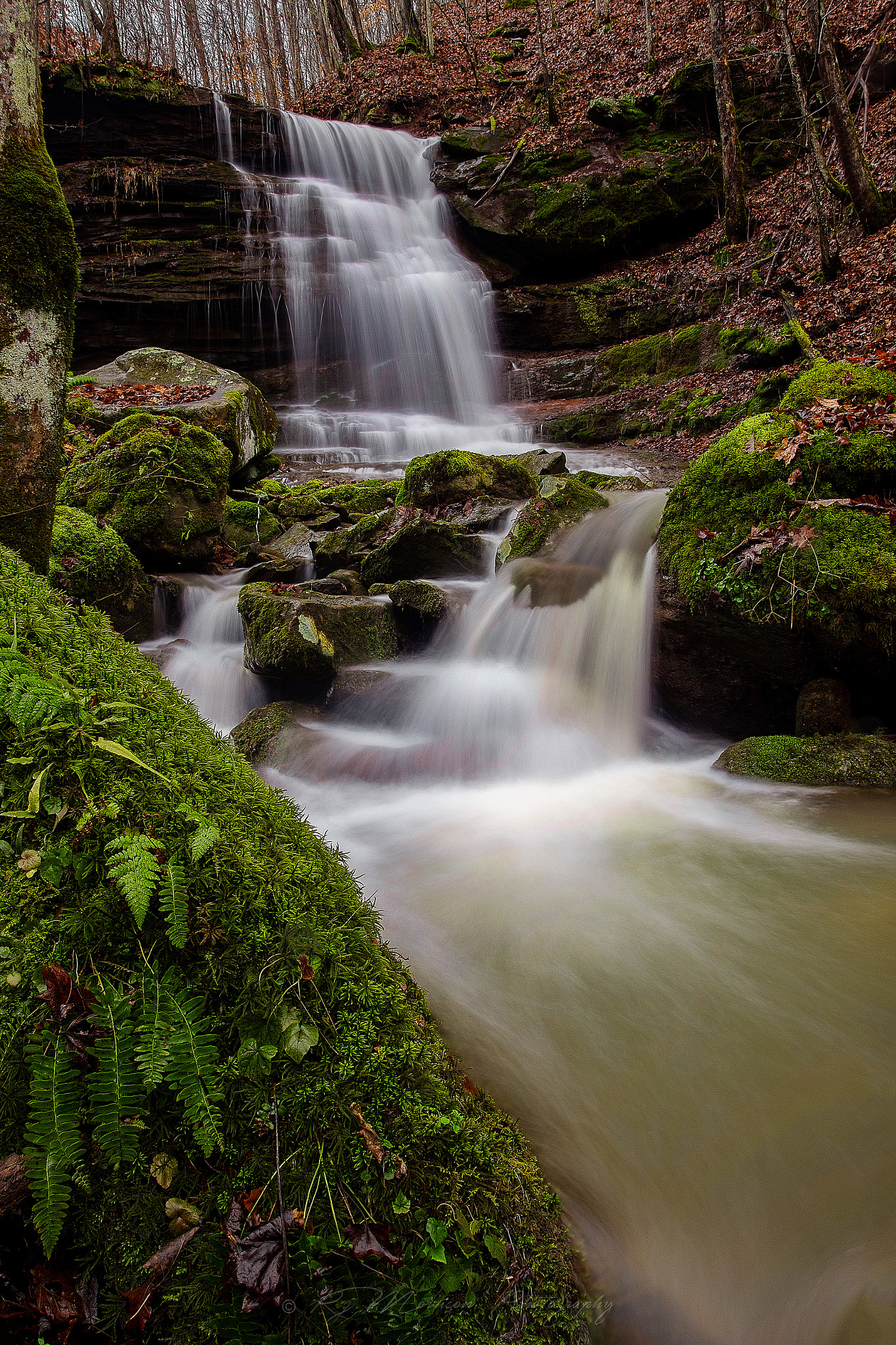 Canon EOS 600D (Rebel EOS T3i / EOS Kiss X5) + Canon EF 17-40mm F4L USM sample photo. Big branch falls  photography