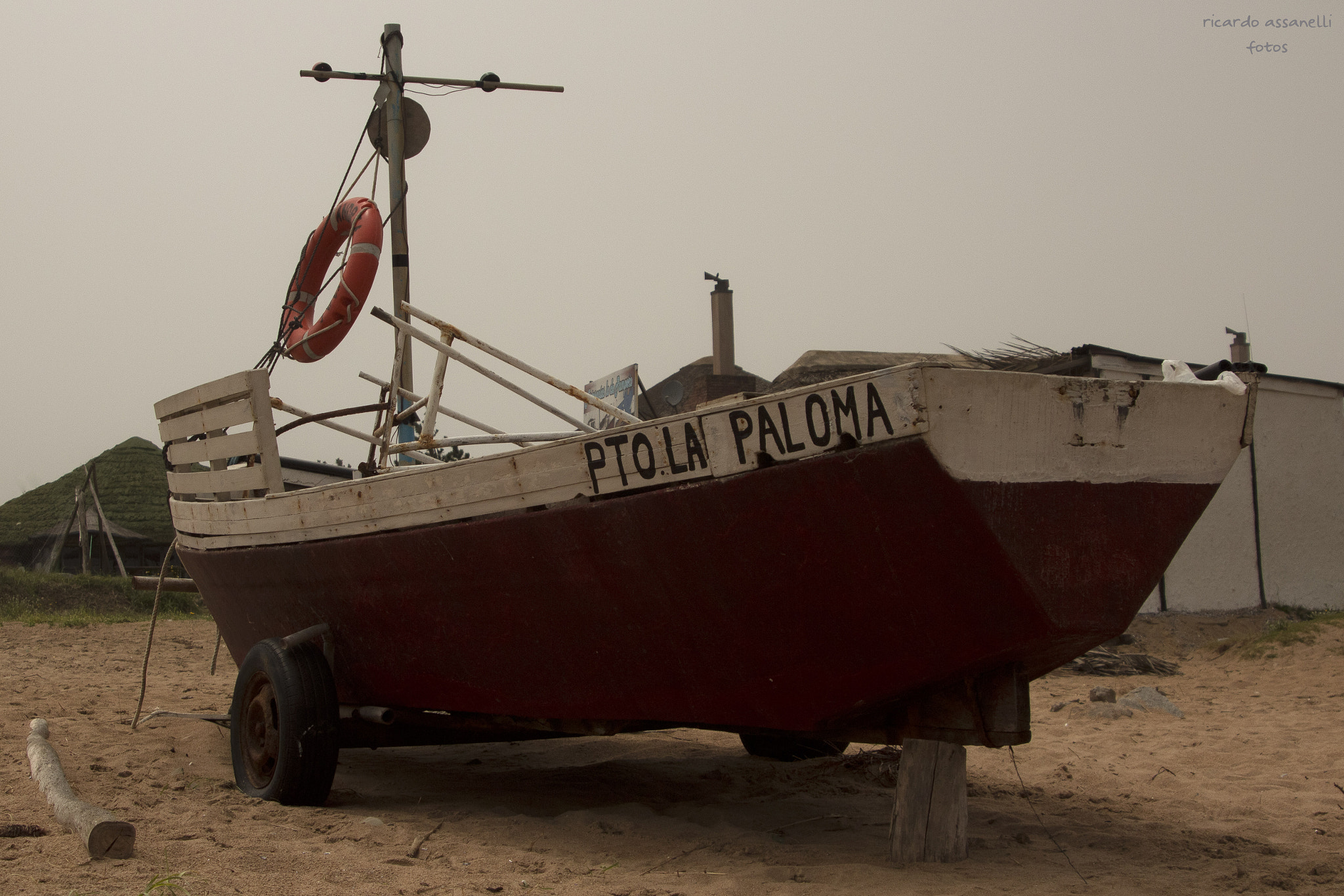 Canon EOS 600D (Rebel EOS T3i / EOS Kiss X5) sample photo. La paloma. photography