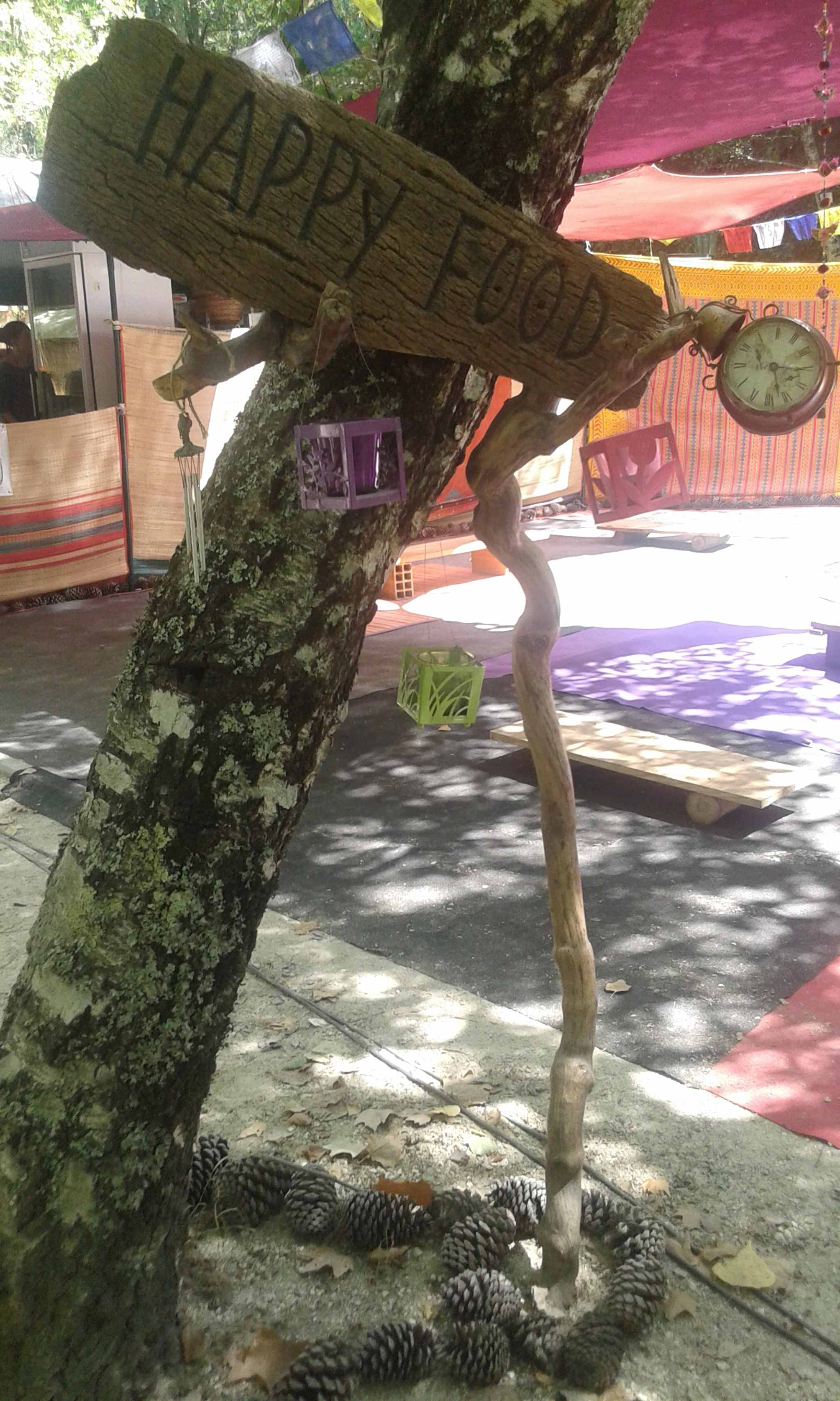 Samsung Galaxy Grand Neo Plus sample photo