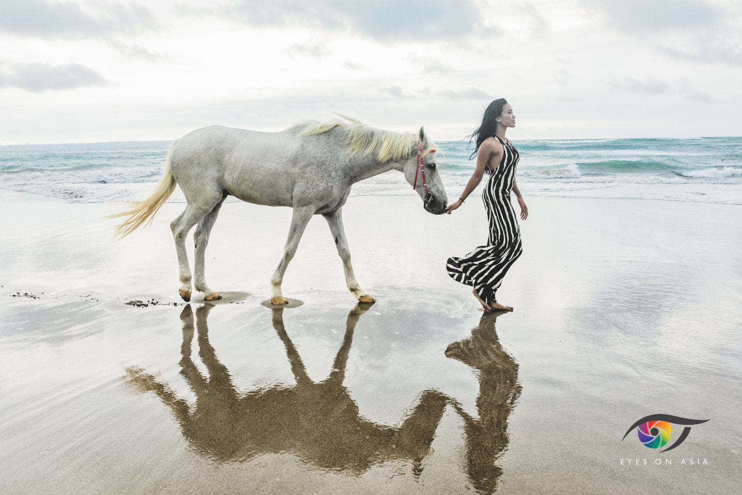 Canon EF 24-70mm F2.8L USM sample photo. Woman with horse photography