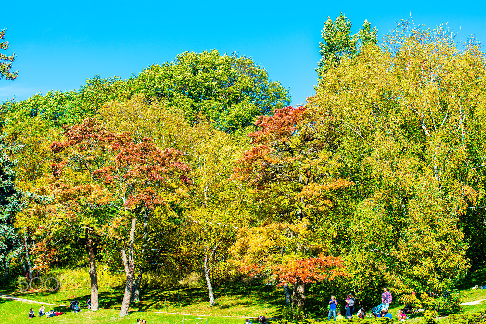 Nikon AF-S Nikkor 70-200mm F4G ED VR sample photo. Fall colors photography