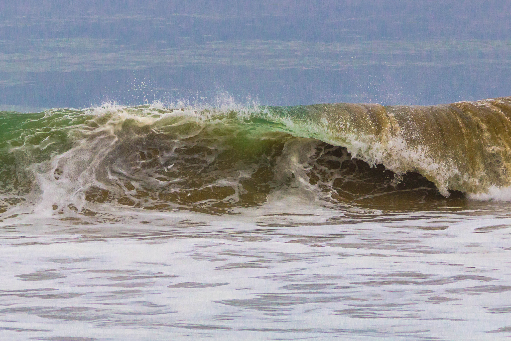 Sigma 150-500mm F5-6.3 DG OS HSM sample photo. Ola photography