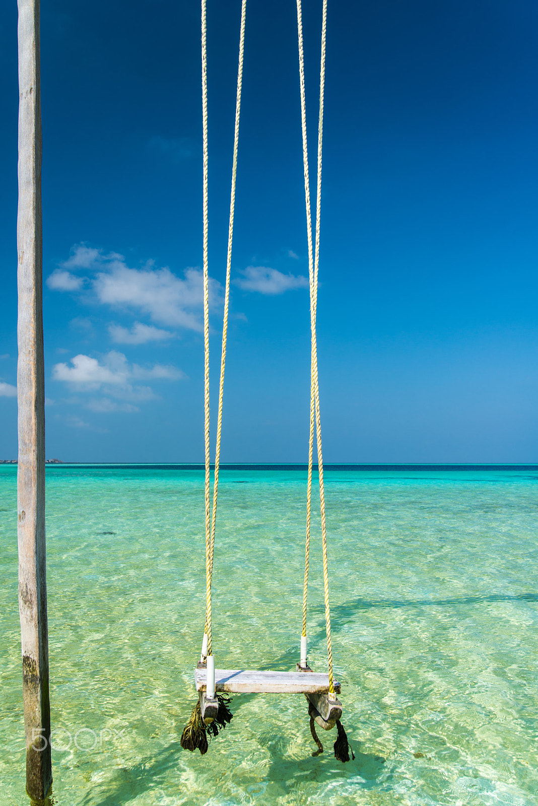 Nikon D800 sample photo. Aaaveee swing photography