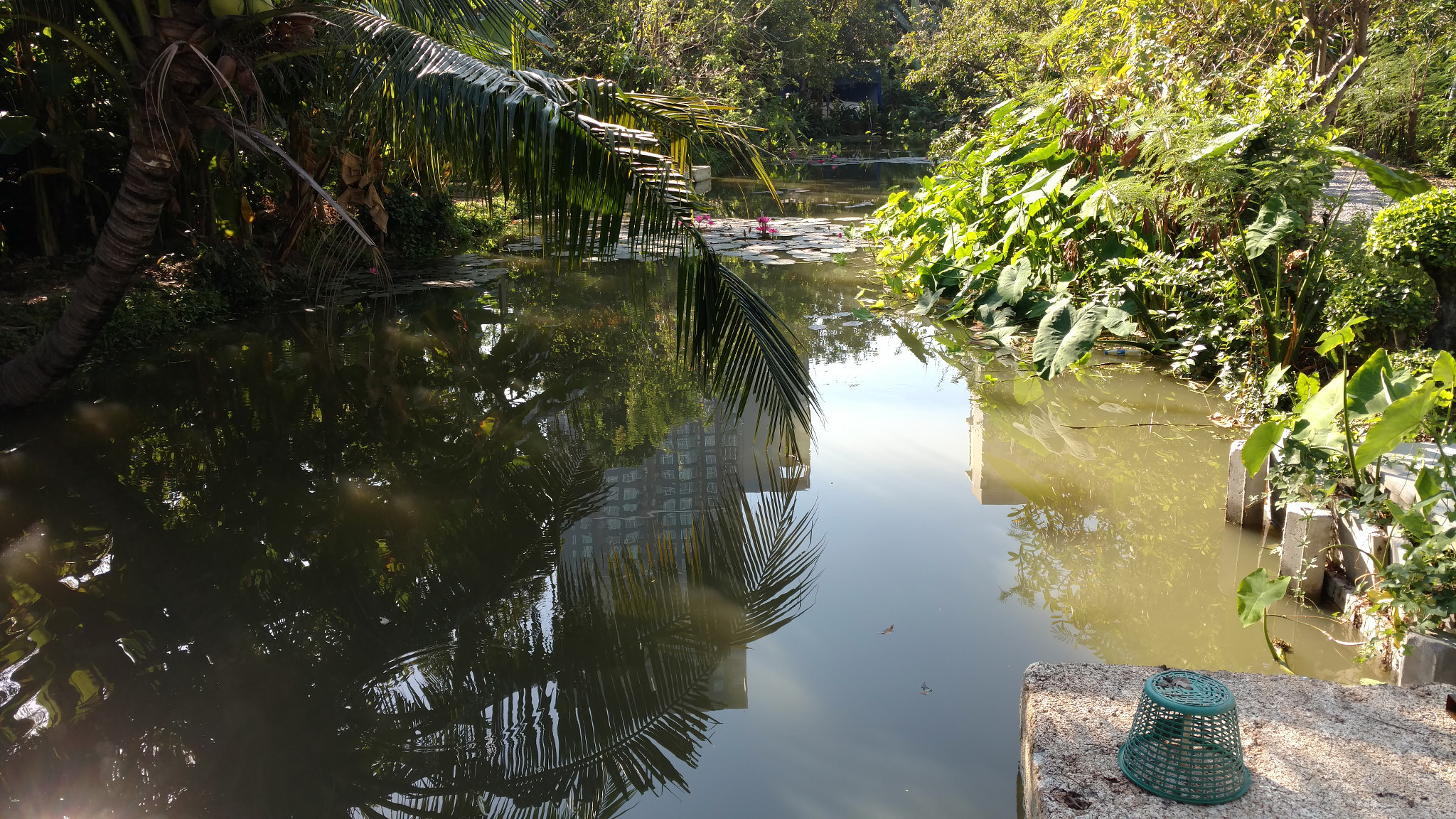 Motorola Moto X Style sample photo