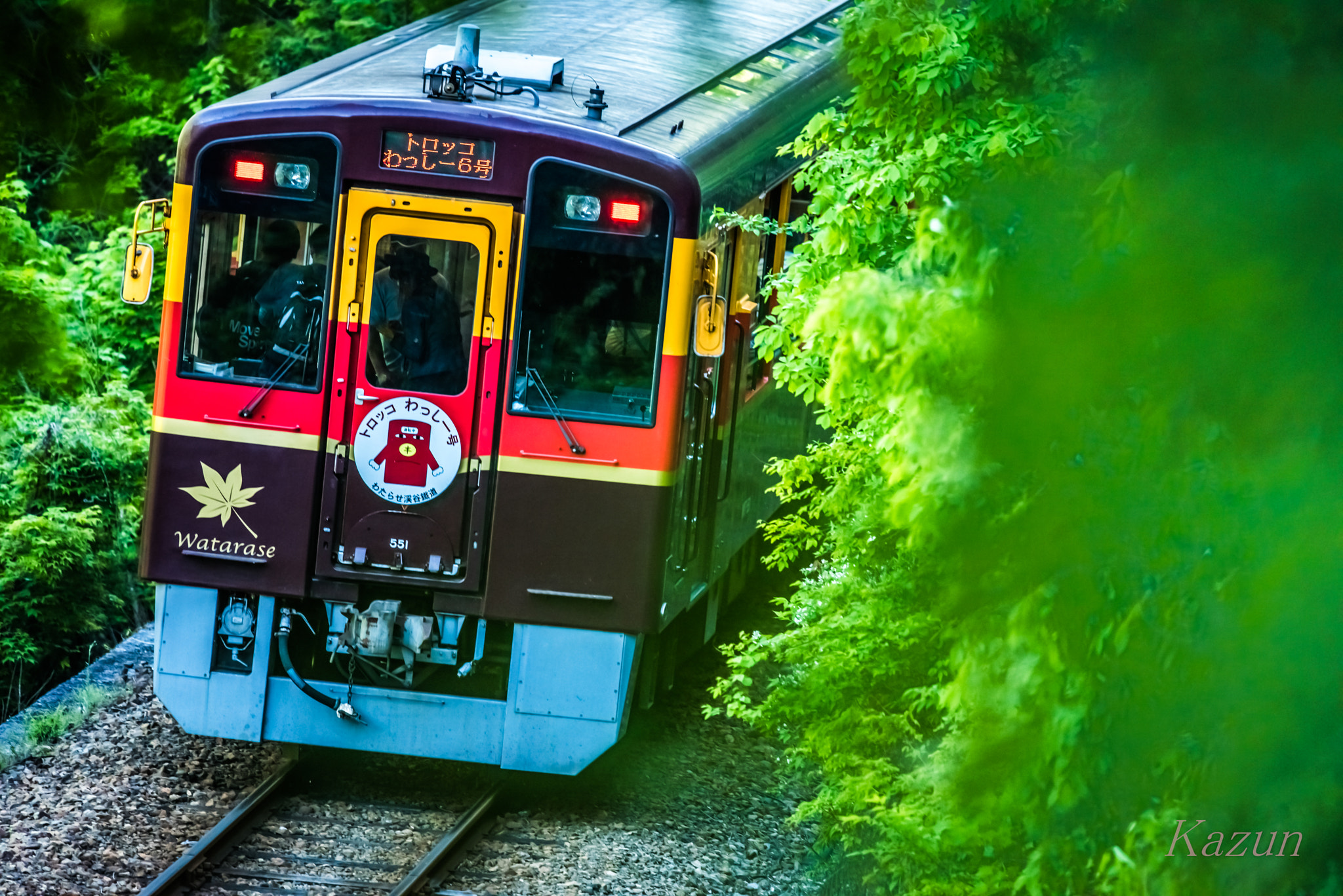 Nikon Nikkor AF-S 300mm F4E PF ED VR sample photo. Local line! photography
