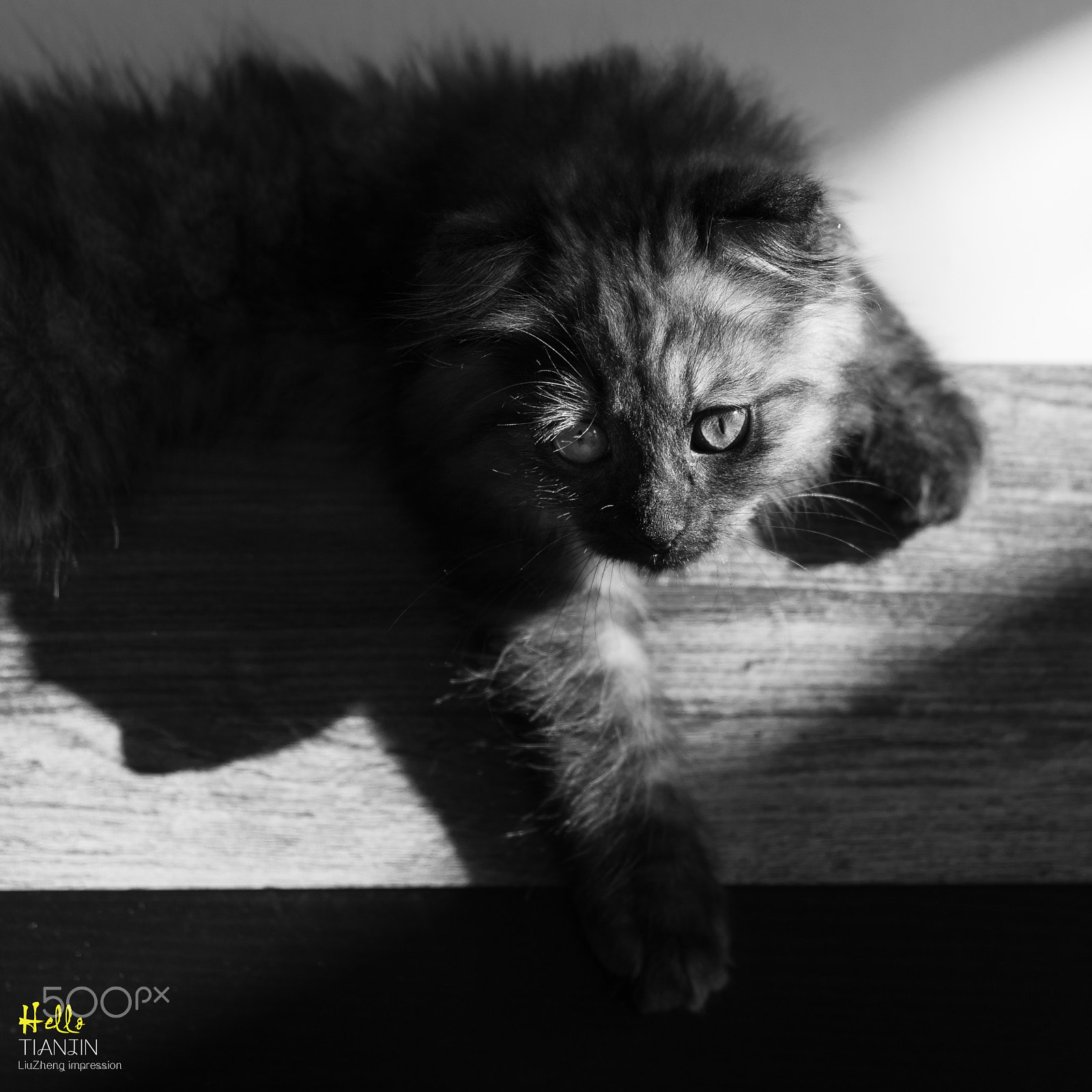 Nikon D810 + Nikon AF Nikkor 50mm F1.8D sample photo. 无名 photography