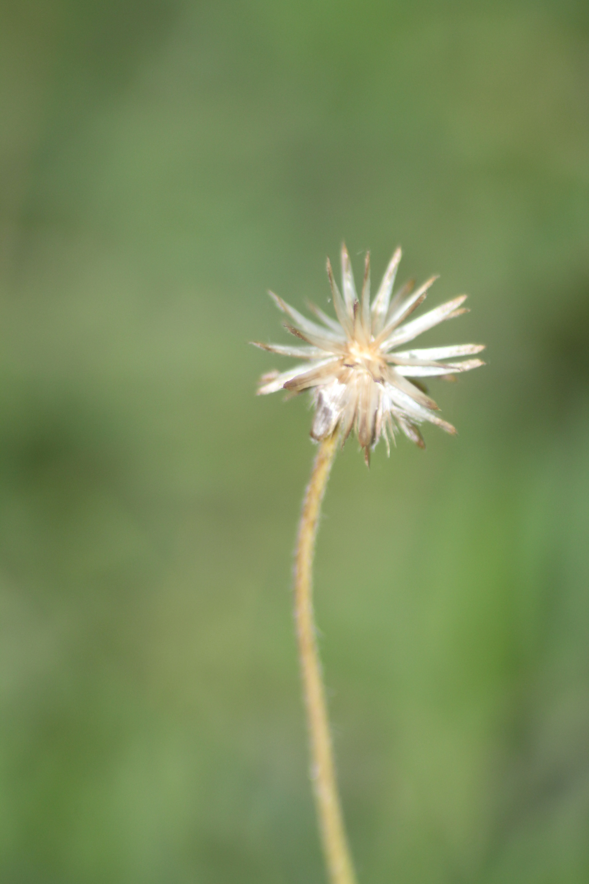 Canon EOS 60D sample photo