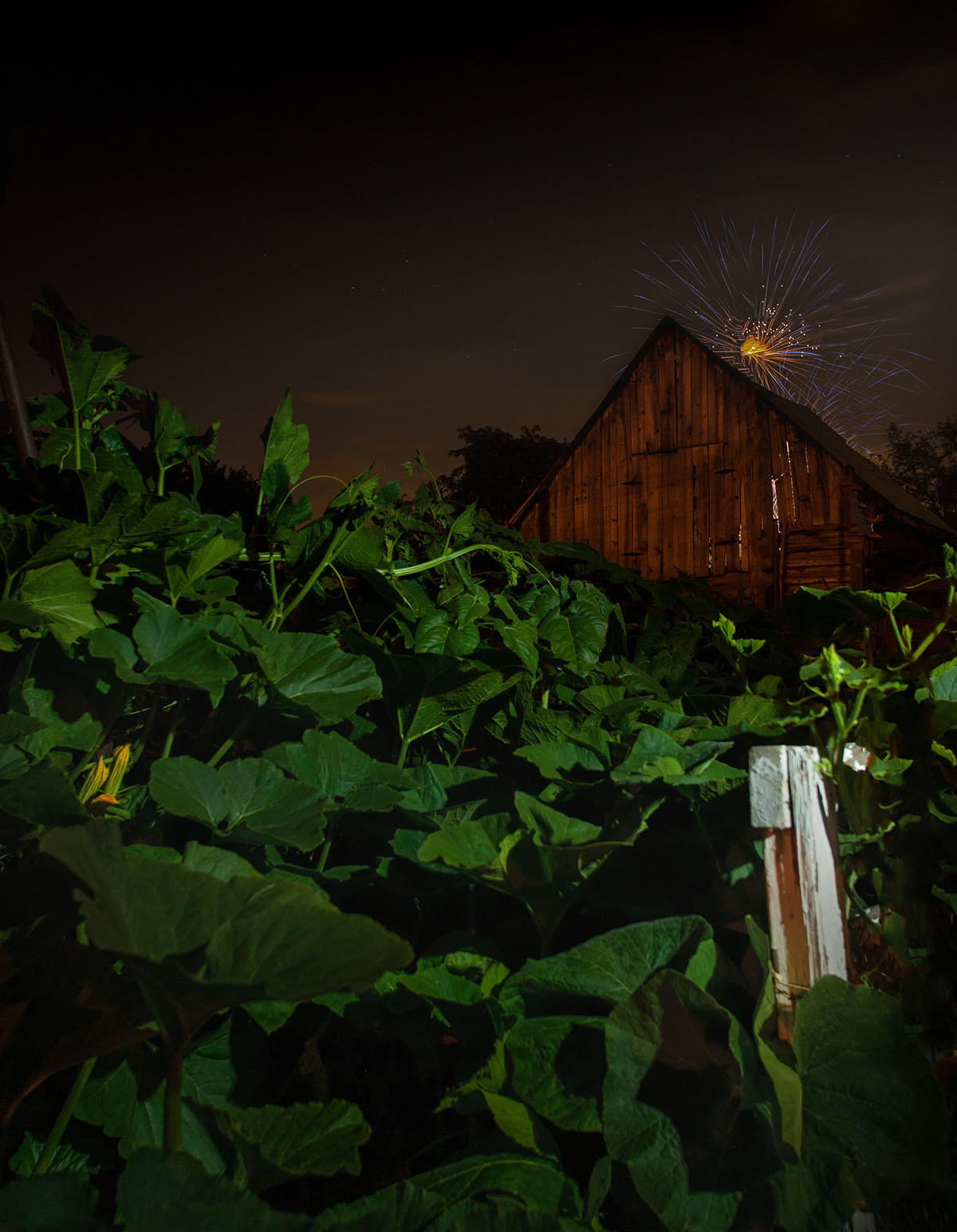 Canon EF 17-35mm f/2.8L sample photo. Photo from 4 summers ago when i was farming on my grandparents land. oh how i miss that place! photography