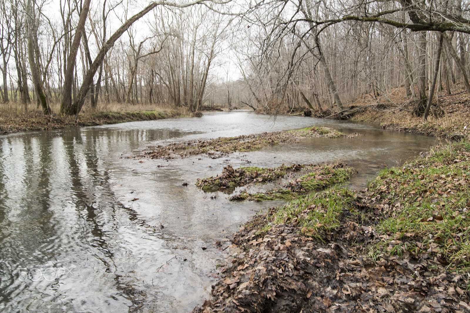 Pentax K-1 sample photo. Possum glory creek photography