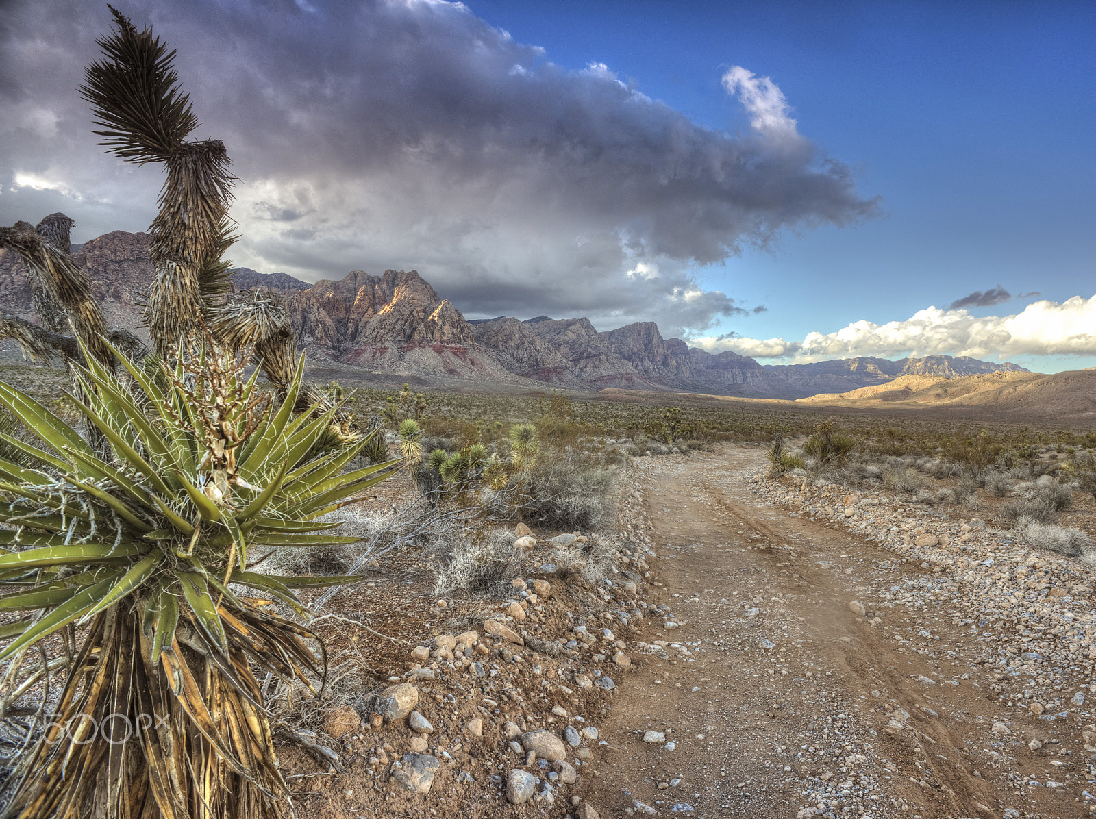 Nikon D800 + Nikon AF Nikkor 20mm F2.8D sample photo. Trail photography
