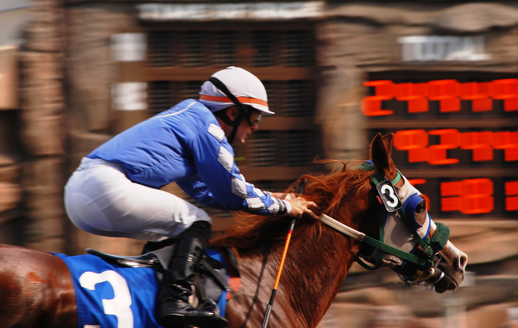 Nikon D40 sample photo. Winning going away photography